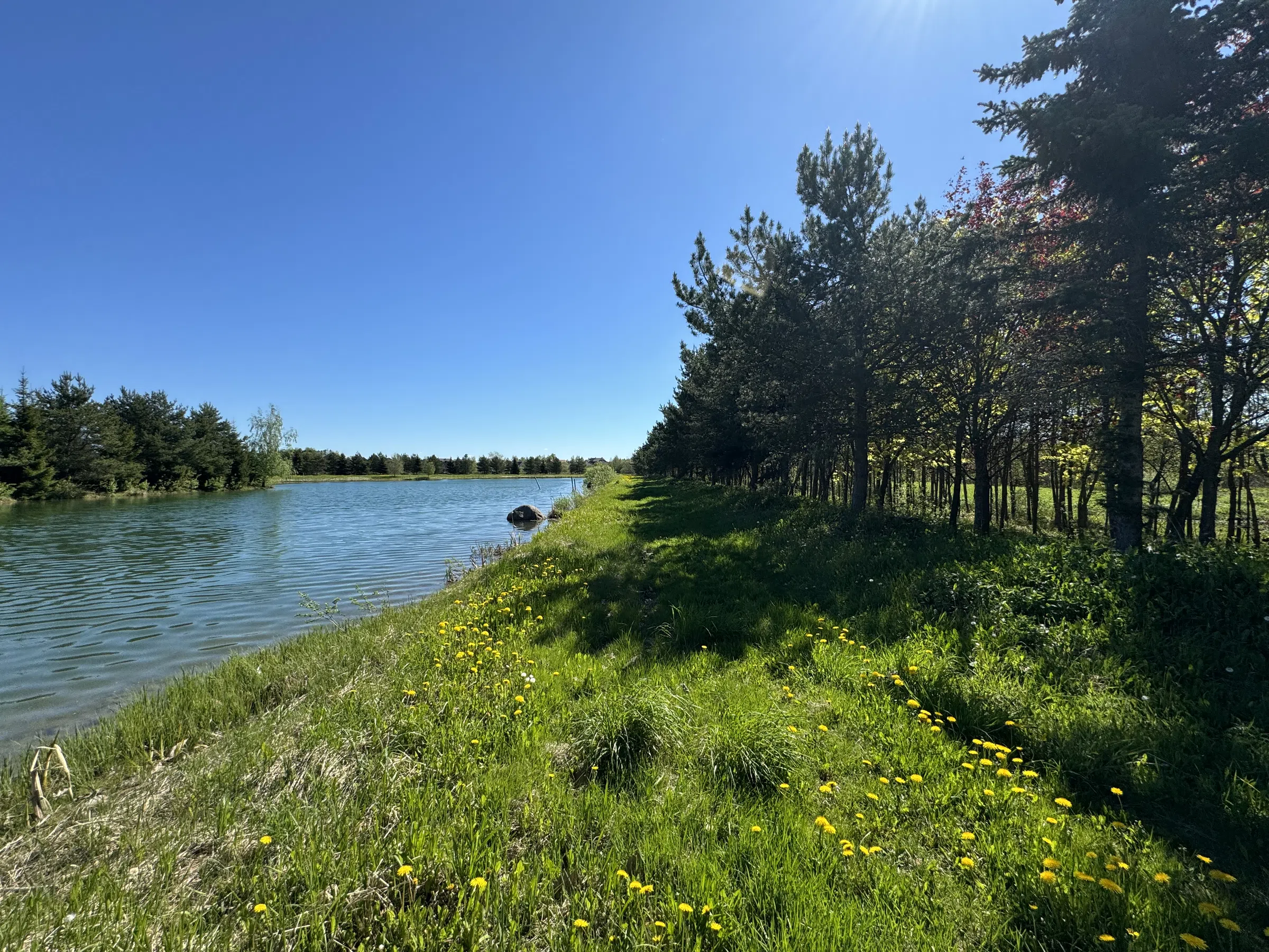 Загородное озеро с мостками, фото 8