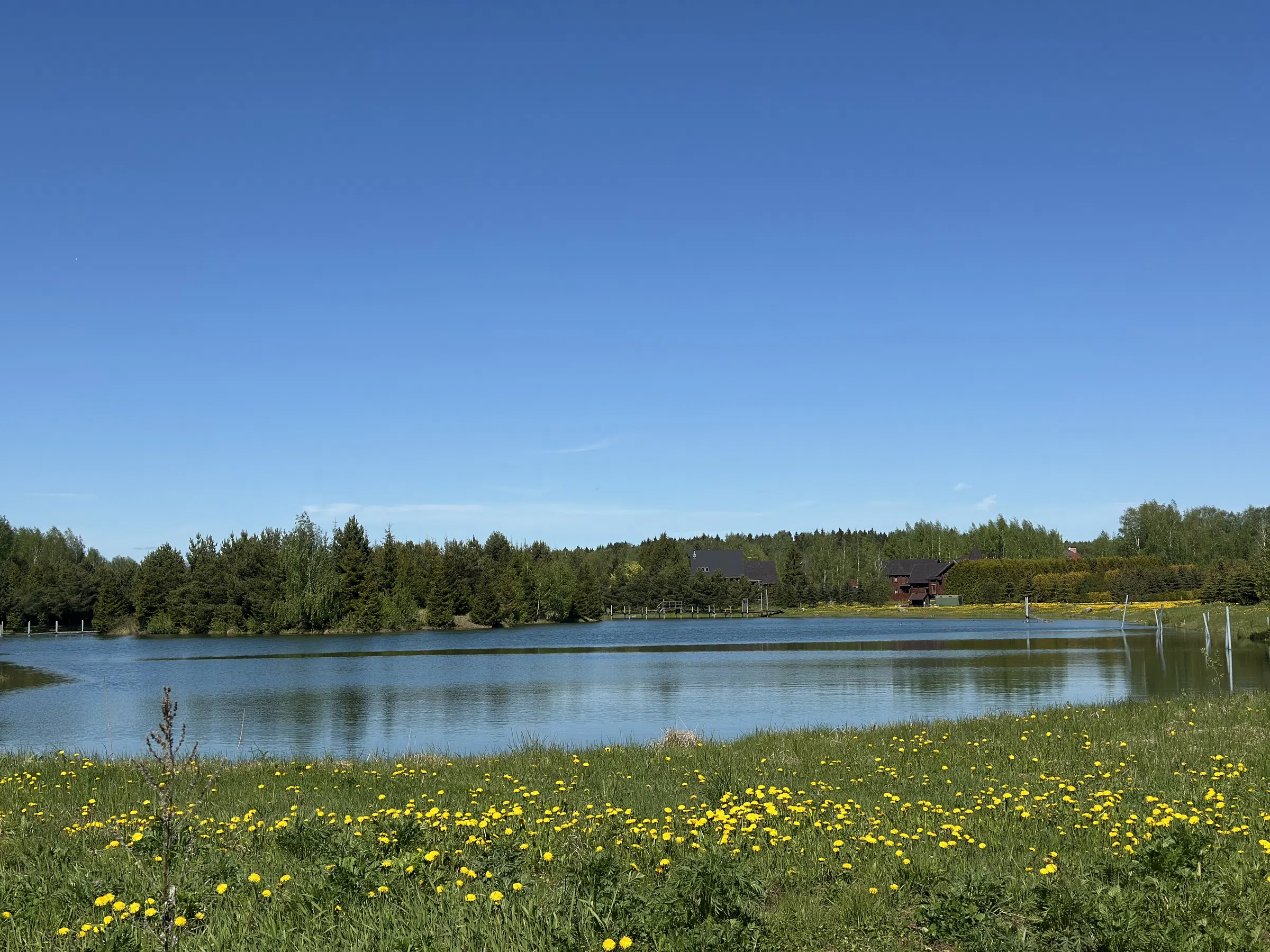 Загородное озеро с мостками, фото 16