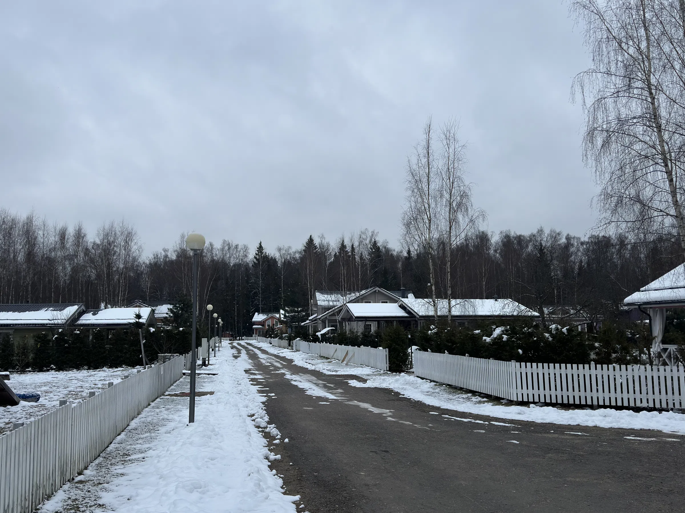 Ряд домов с лесом, фото 6