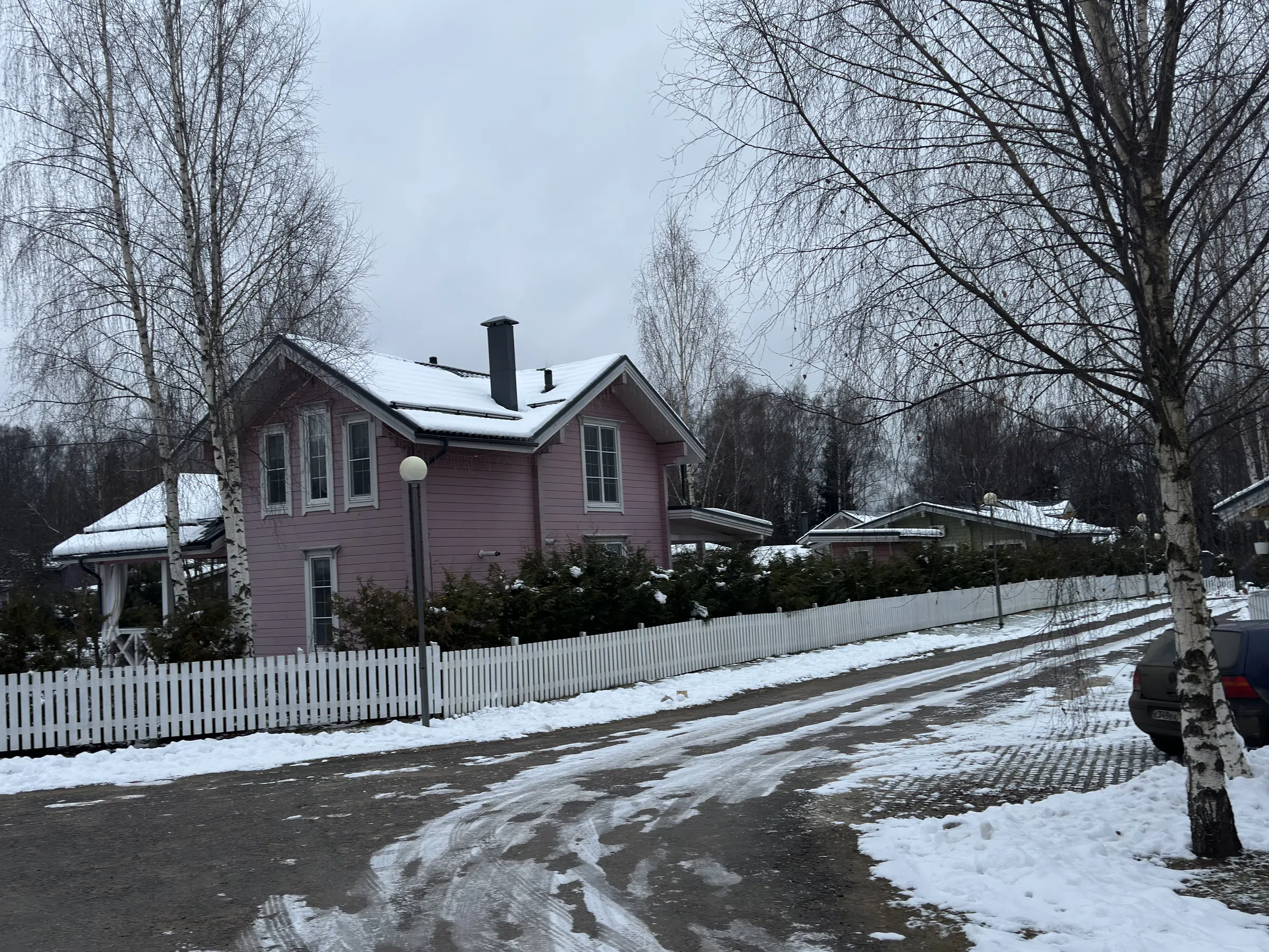 Ряд домов с лесом, фото 5