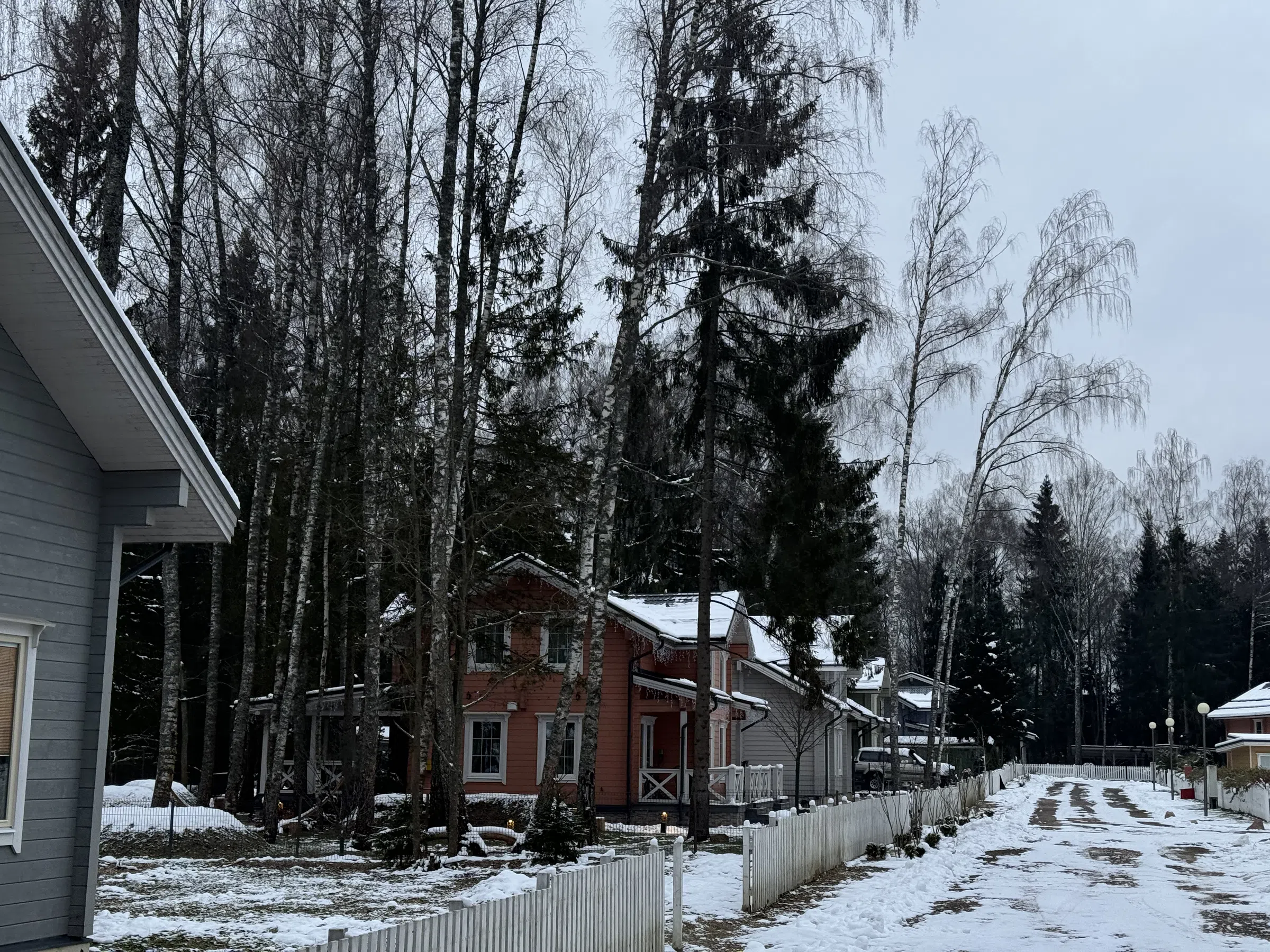 Ряд домов с лесом, фото 8