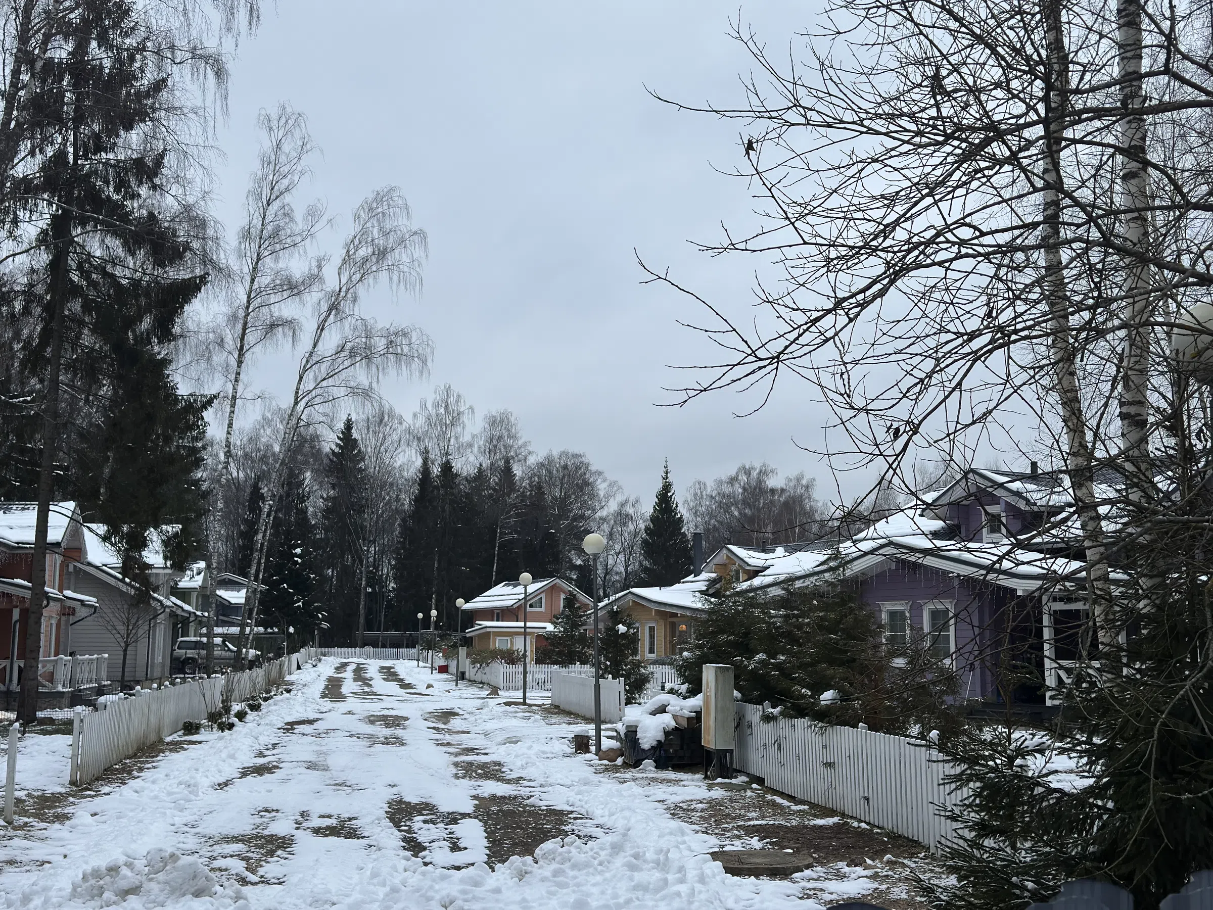 Ряд домов с лесом, фото 9
