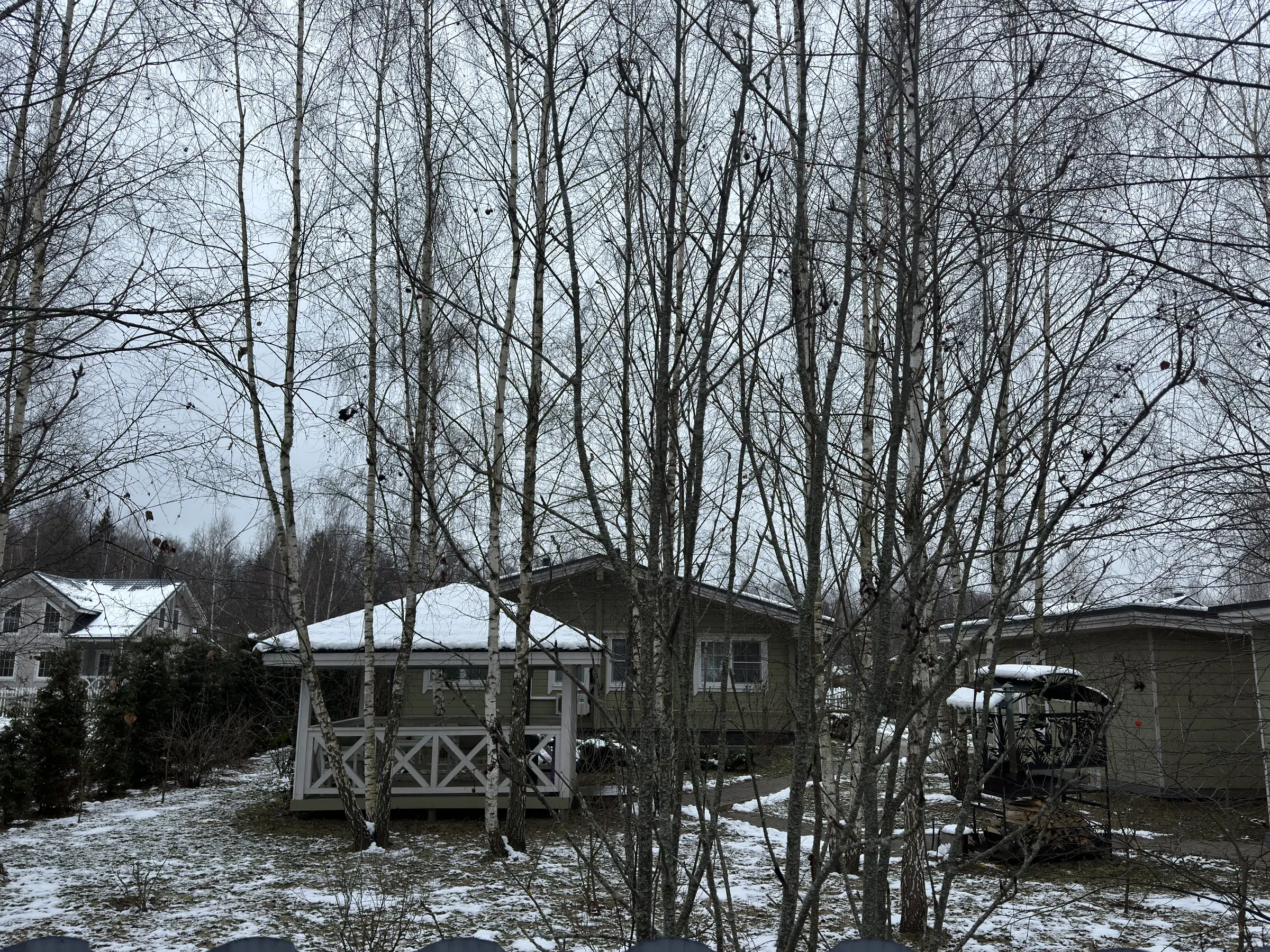 Ряд домов с лесом, фото 10