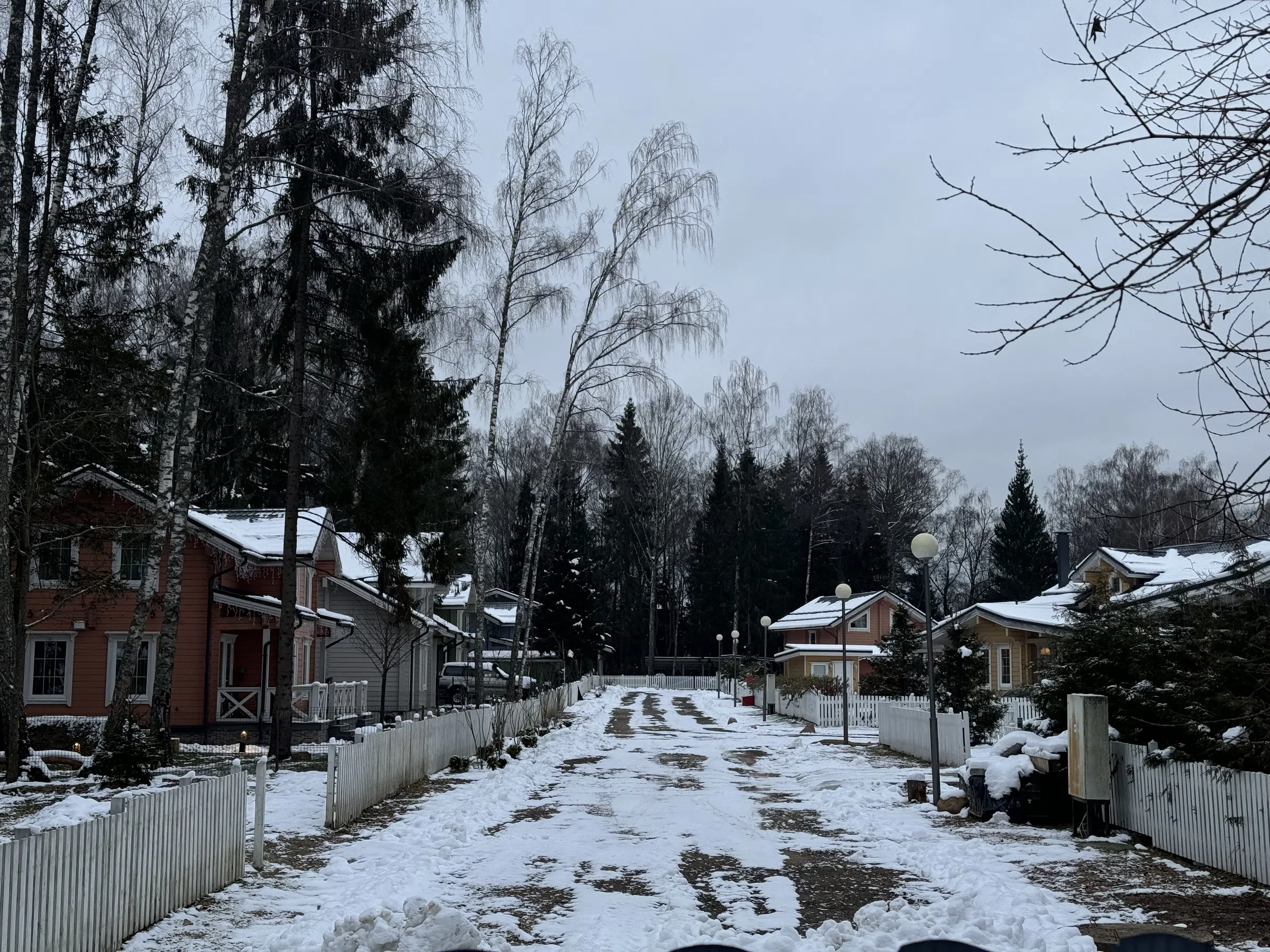 Ряд домов с лесом, фото 7