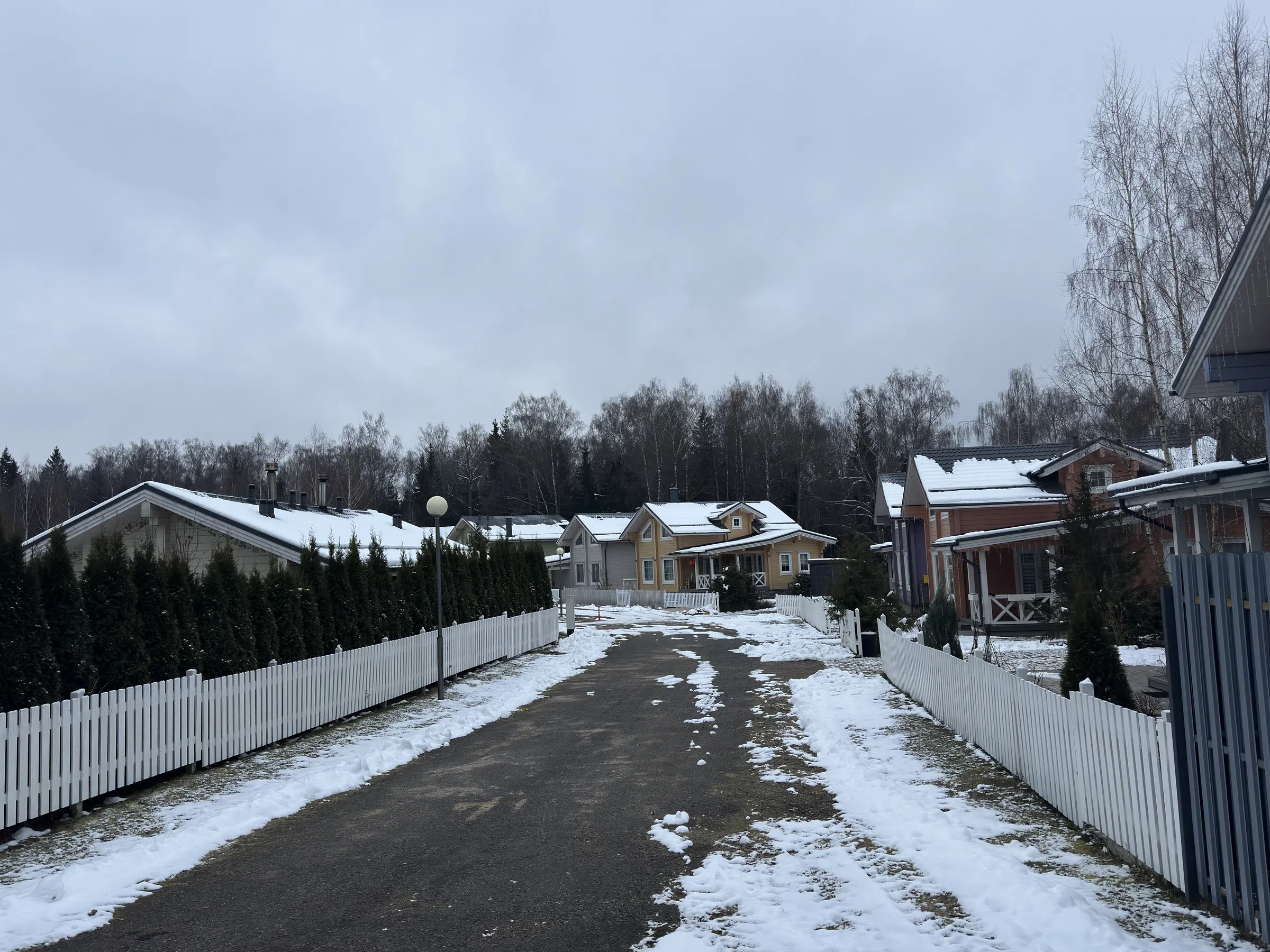 Ряд домов с лесом, фото 2