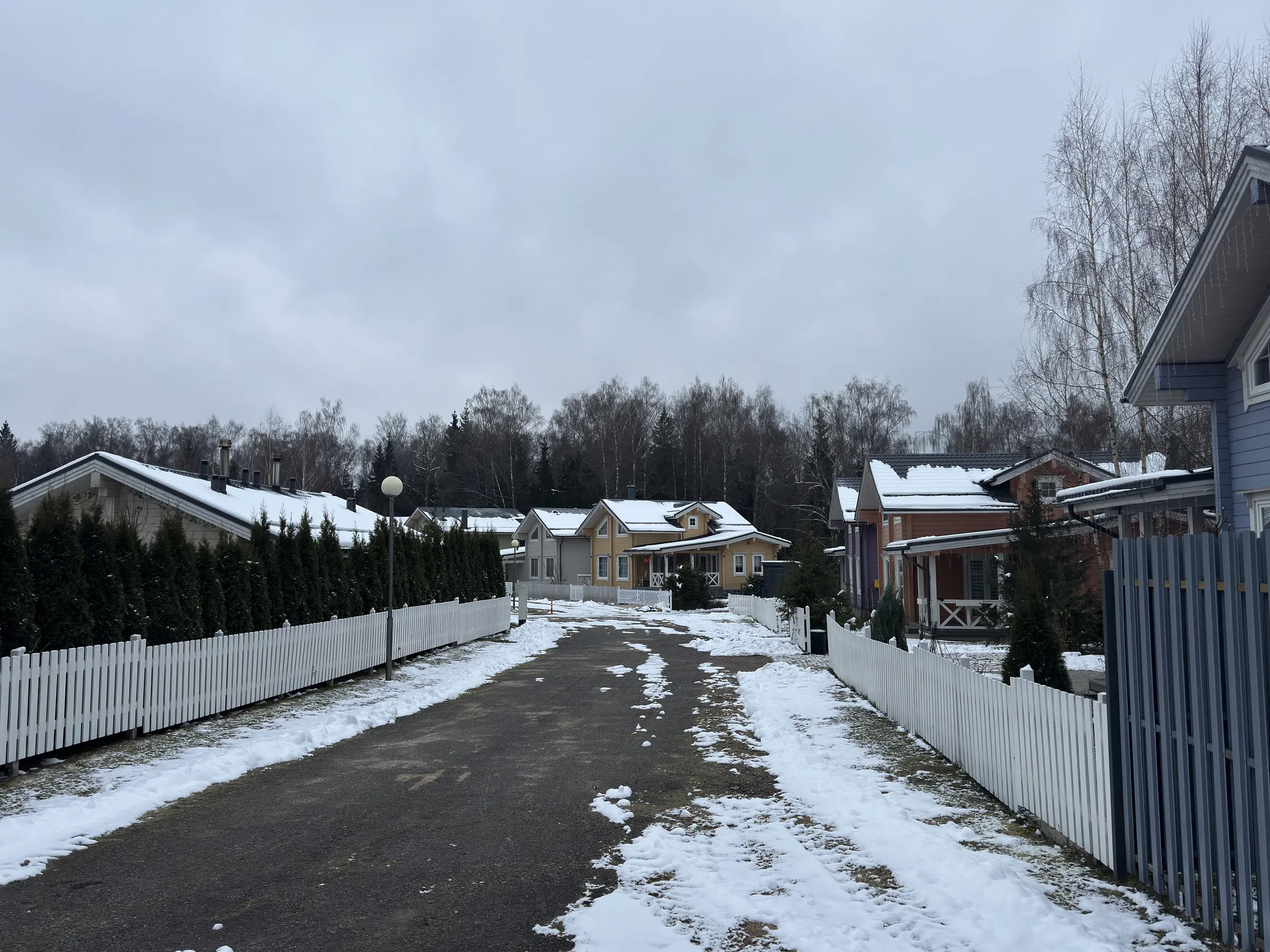 Ряд домов с лесом, фото 1