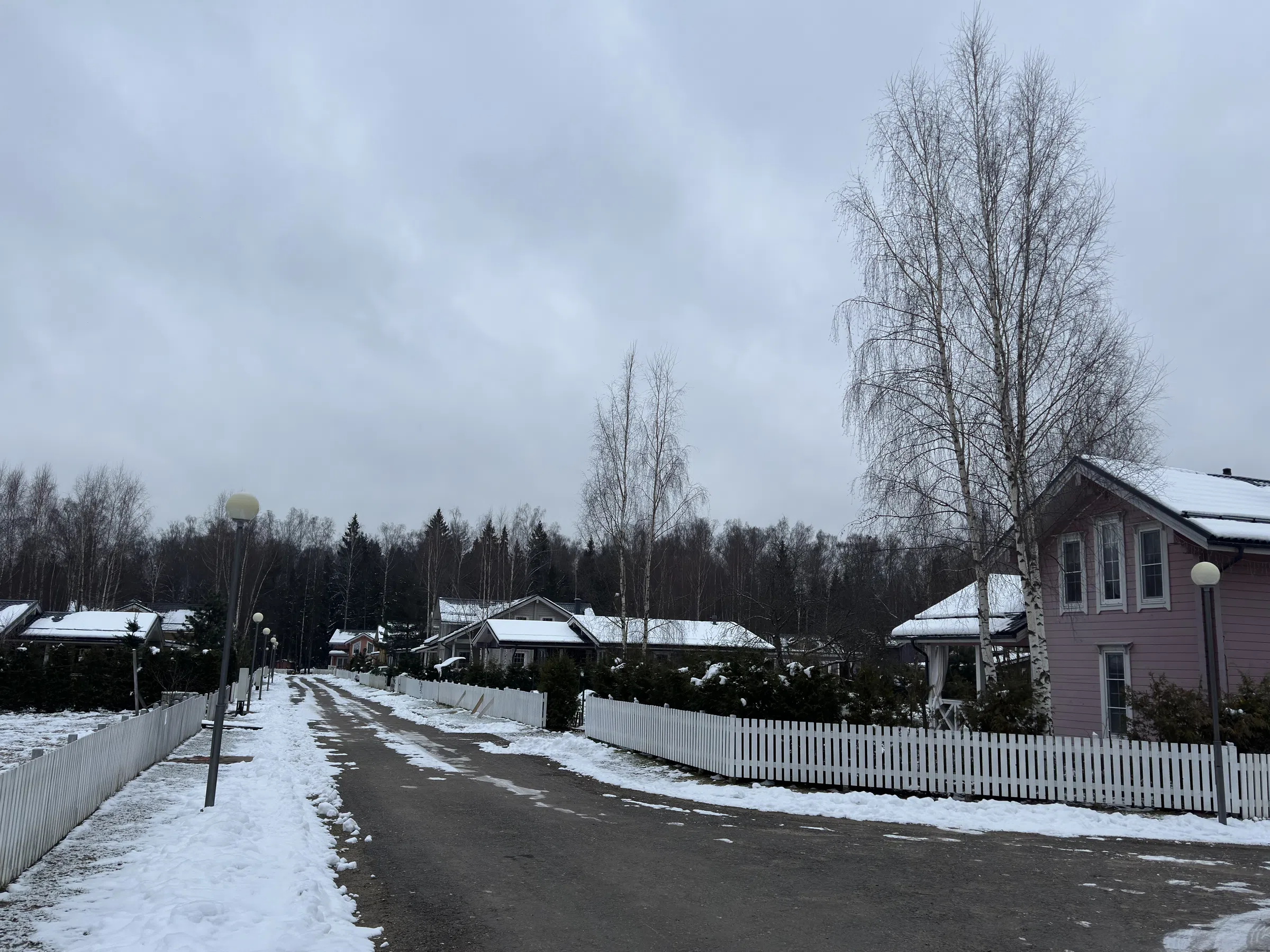 Ряд домов с лесом, фото 3