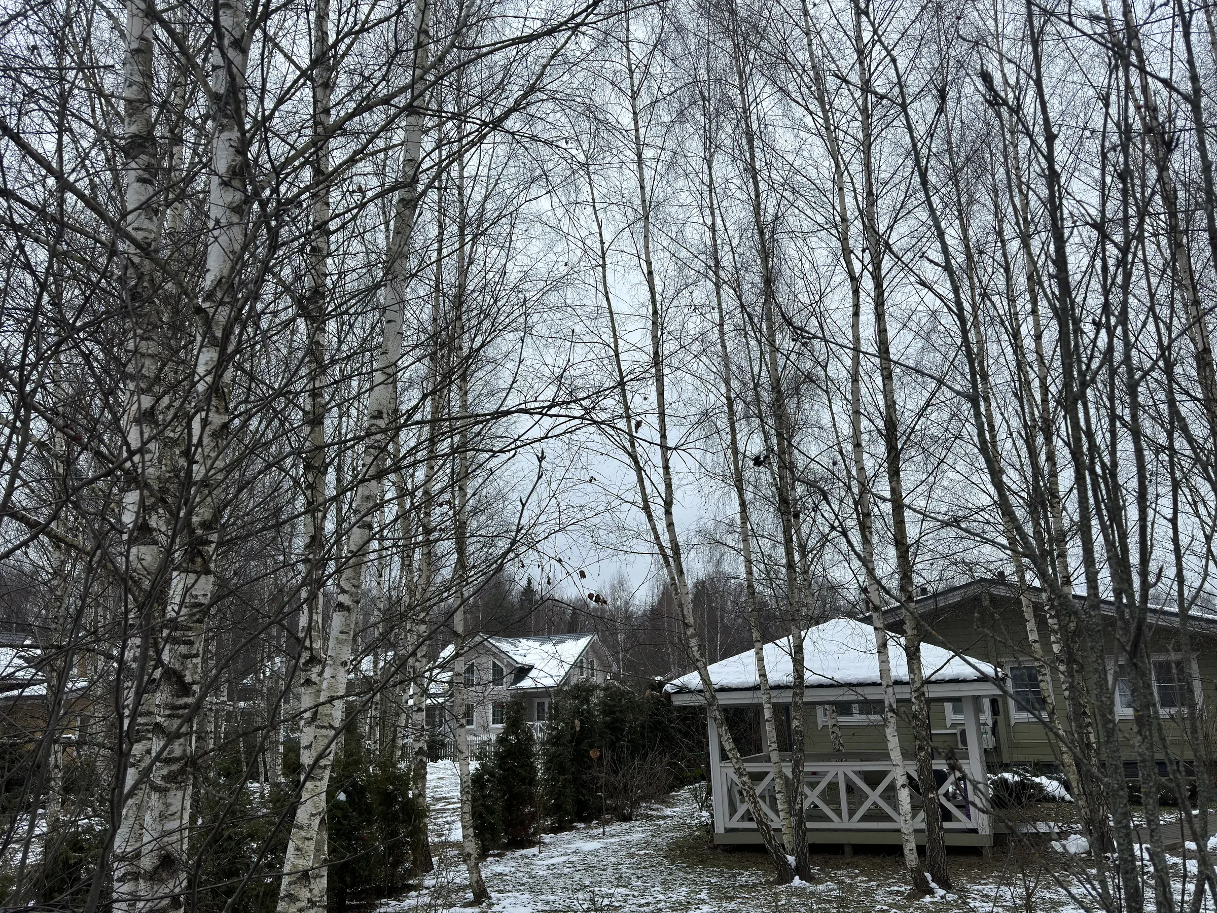Ряд домов с лесом, фото 11