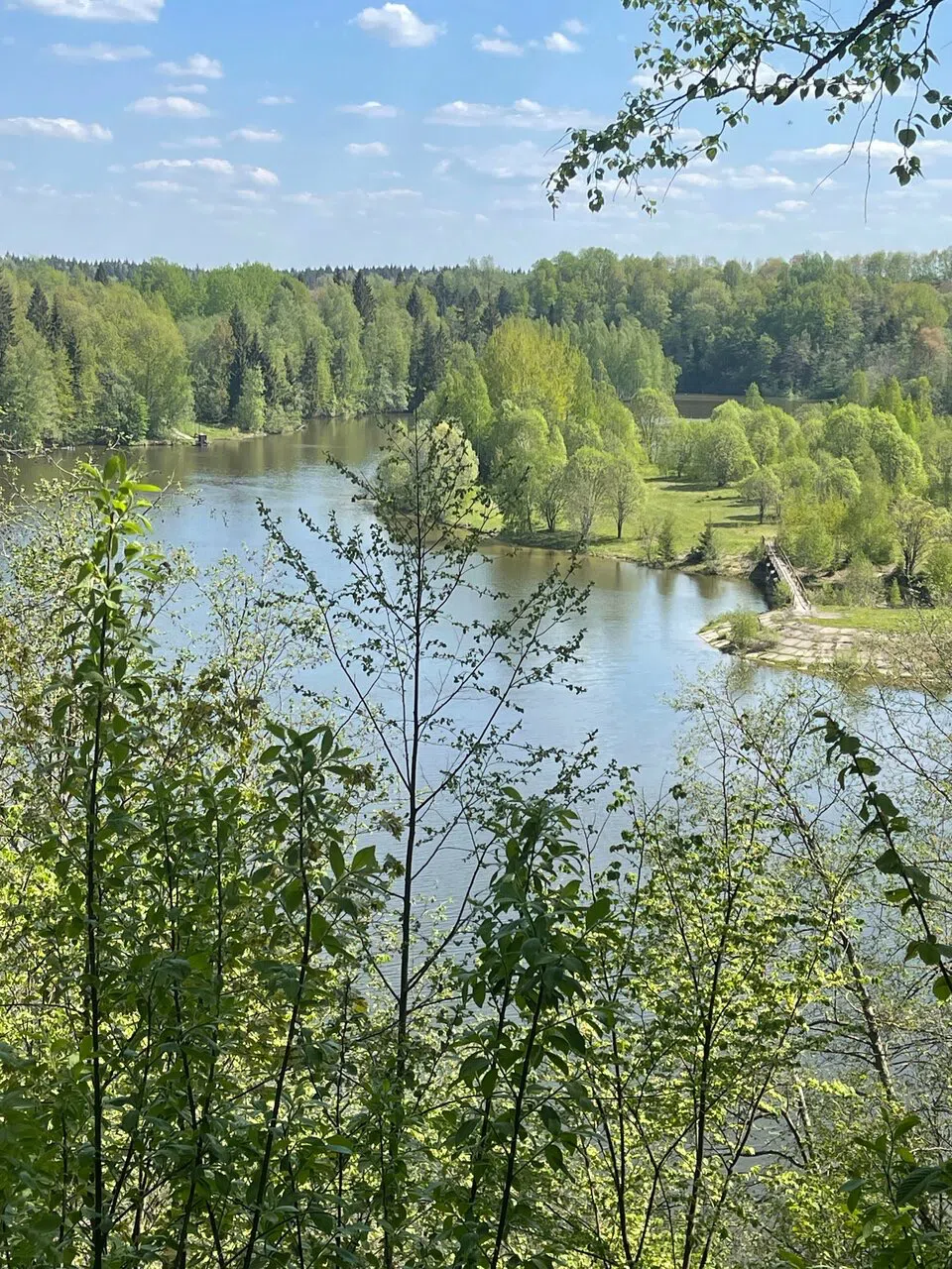 Лесное озеро с мостиком, фото 4