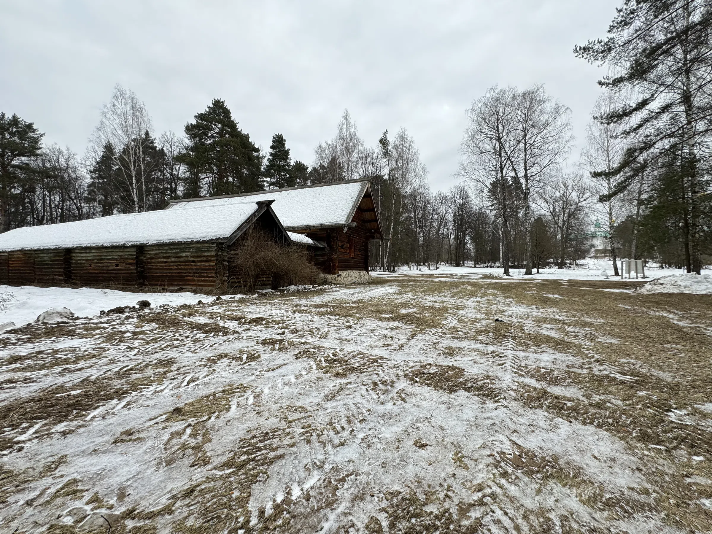 Деревенский дом в лесу, фото 8