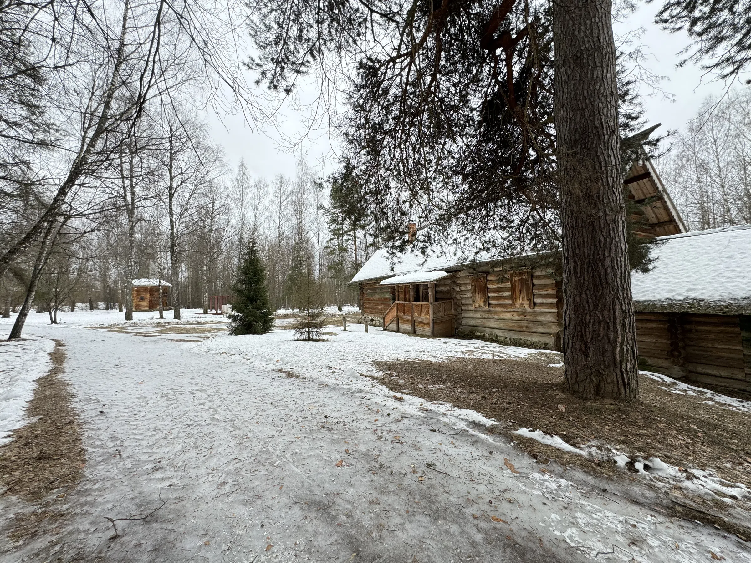 Деревенский дом в лесу, фото 13