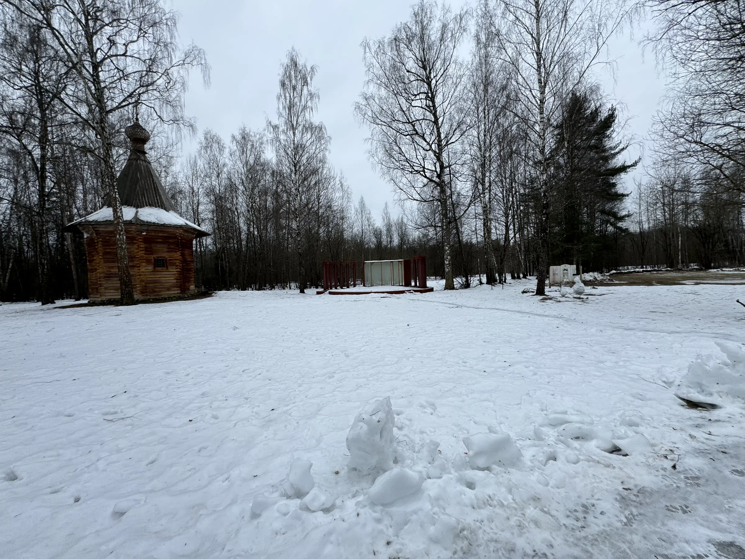 Деревенский дом в лесу, фото 3