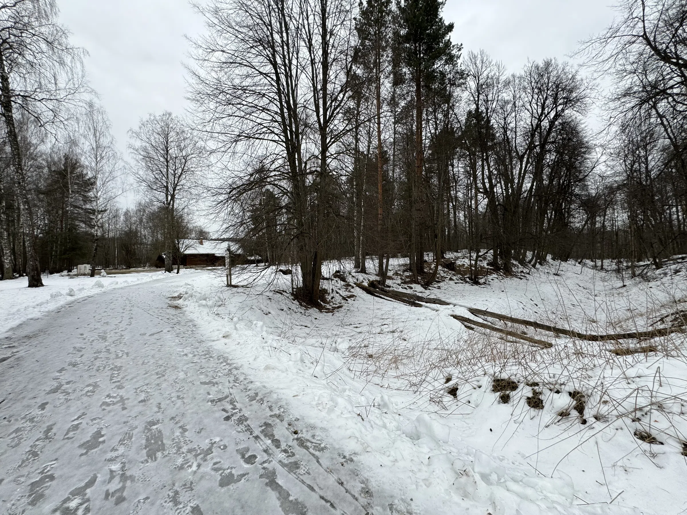 Деревенский дом в лесу, фото 17
