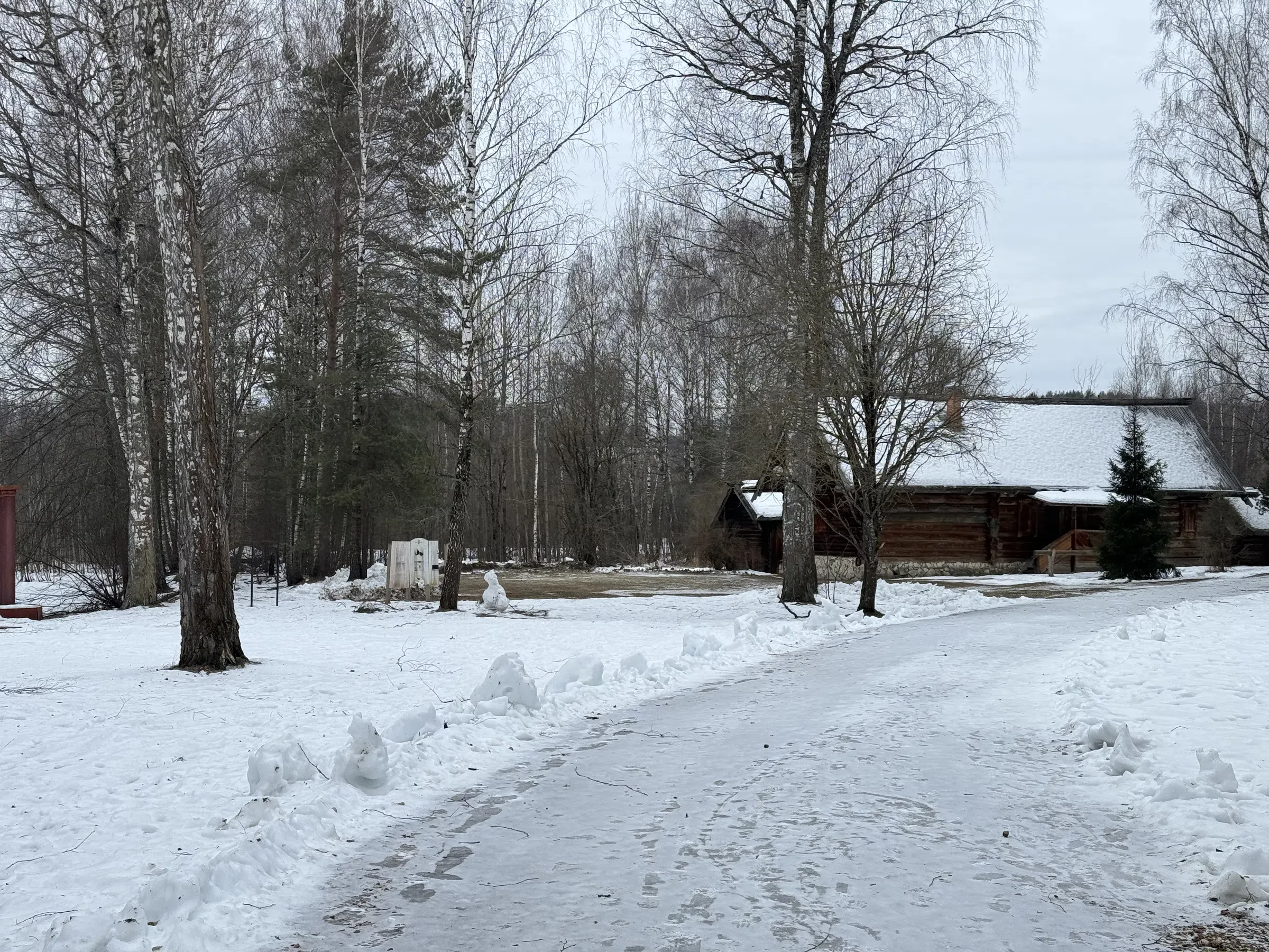 Деревенский дом в лесу, фото 1