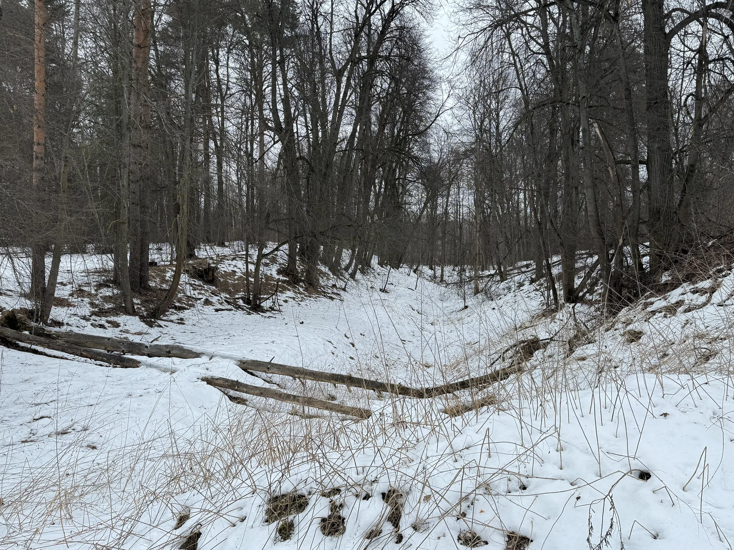 Деревенский дом в лесу, фото 16
