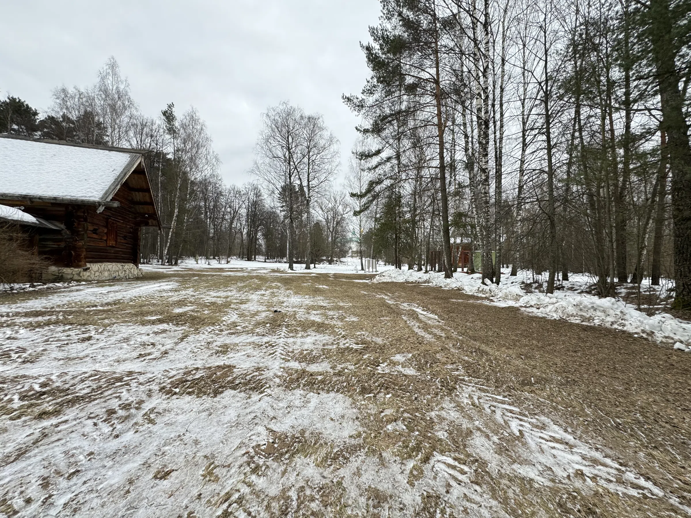 Деревенский дом в лесу, фото 9