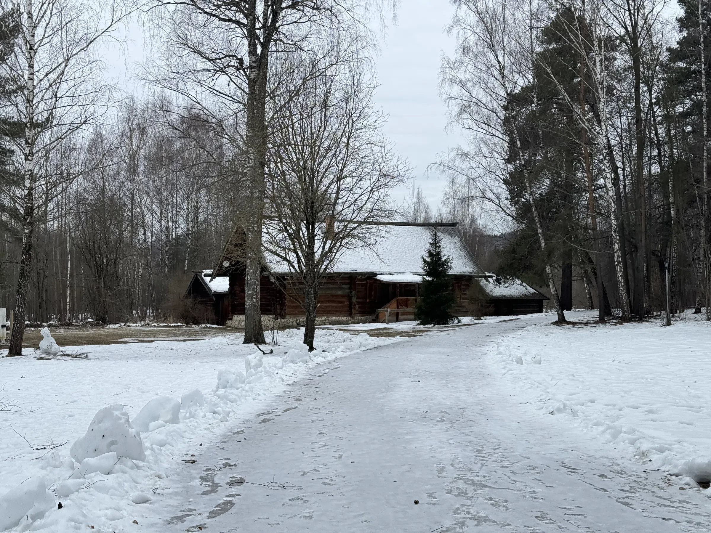 Деревенский дом в лесу, фото 2