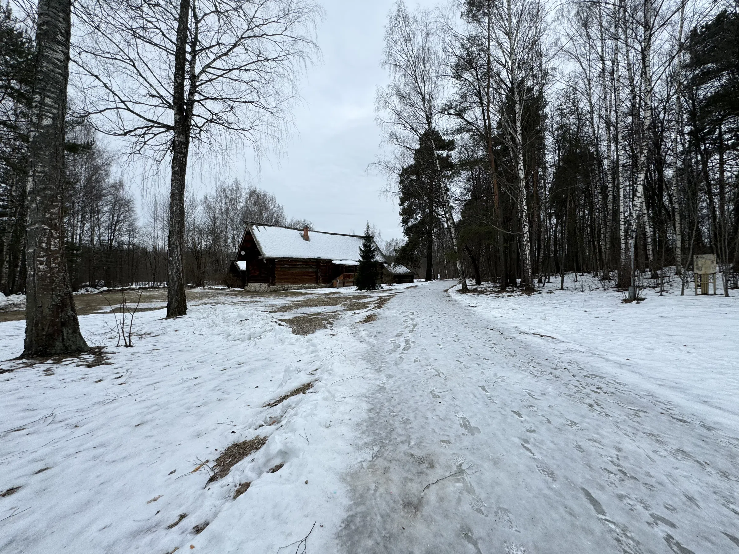 Деревенский дом в лесу, фото 4