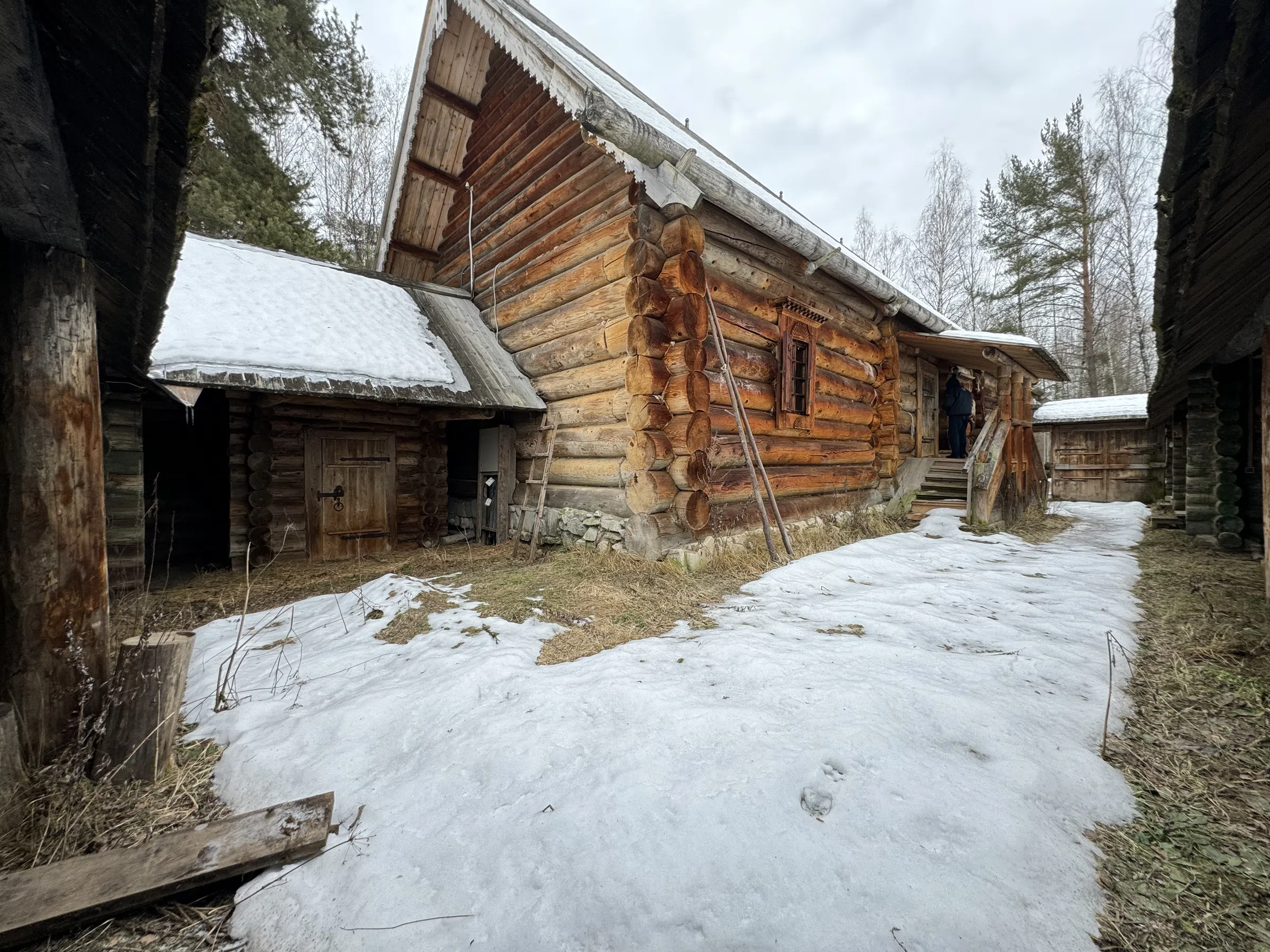 Деревенский дом в лесу, фото 24