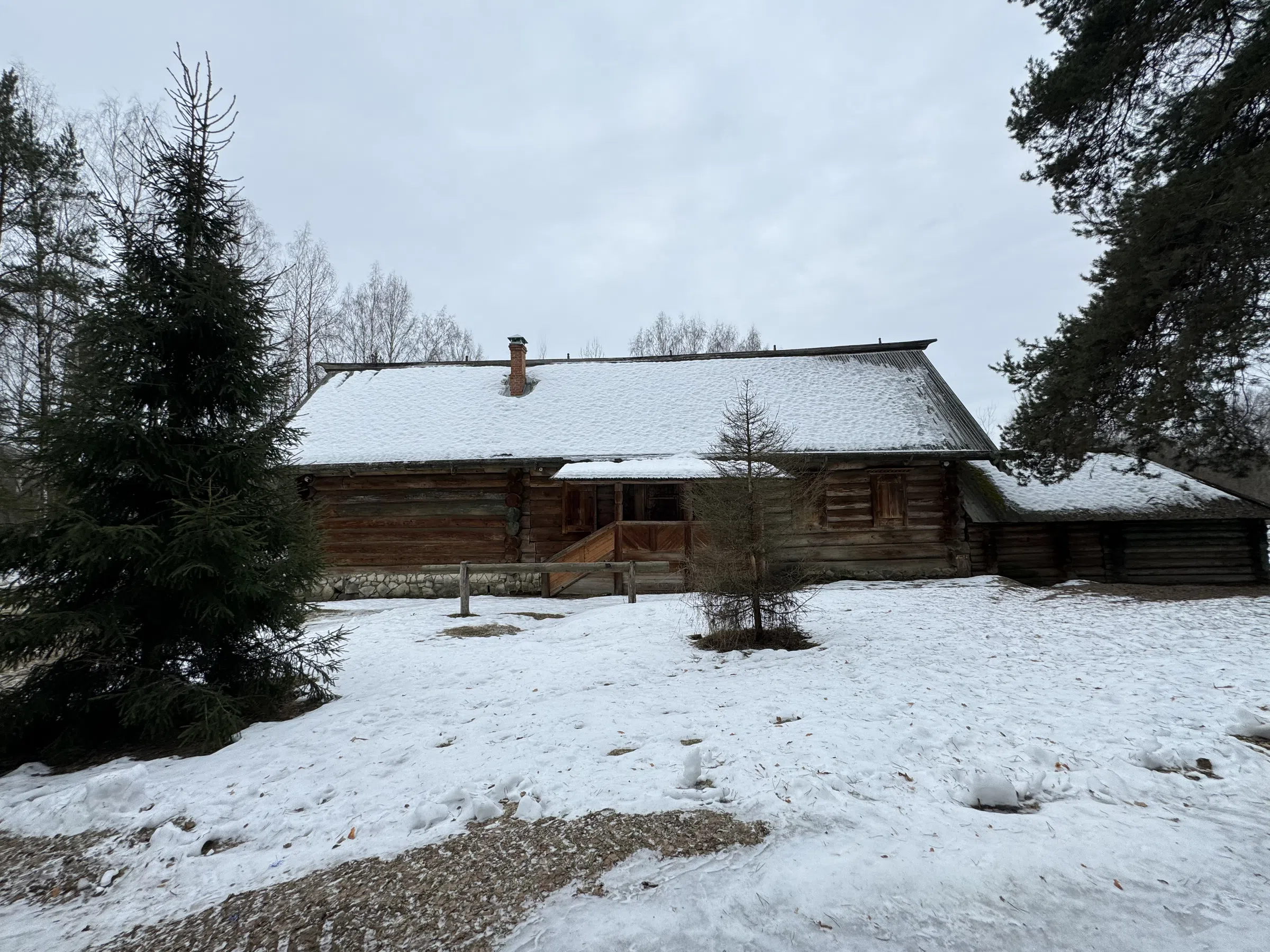 Деревенский дом в лесу, фото 12