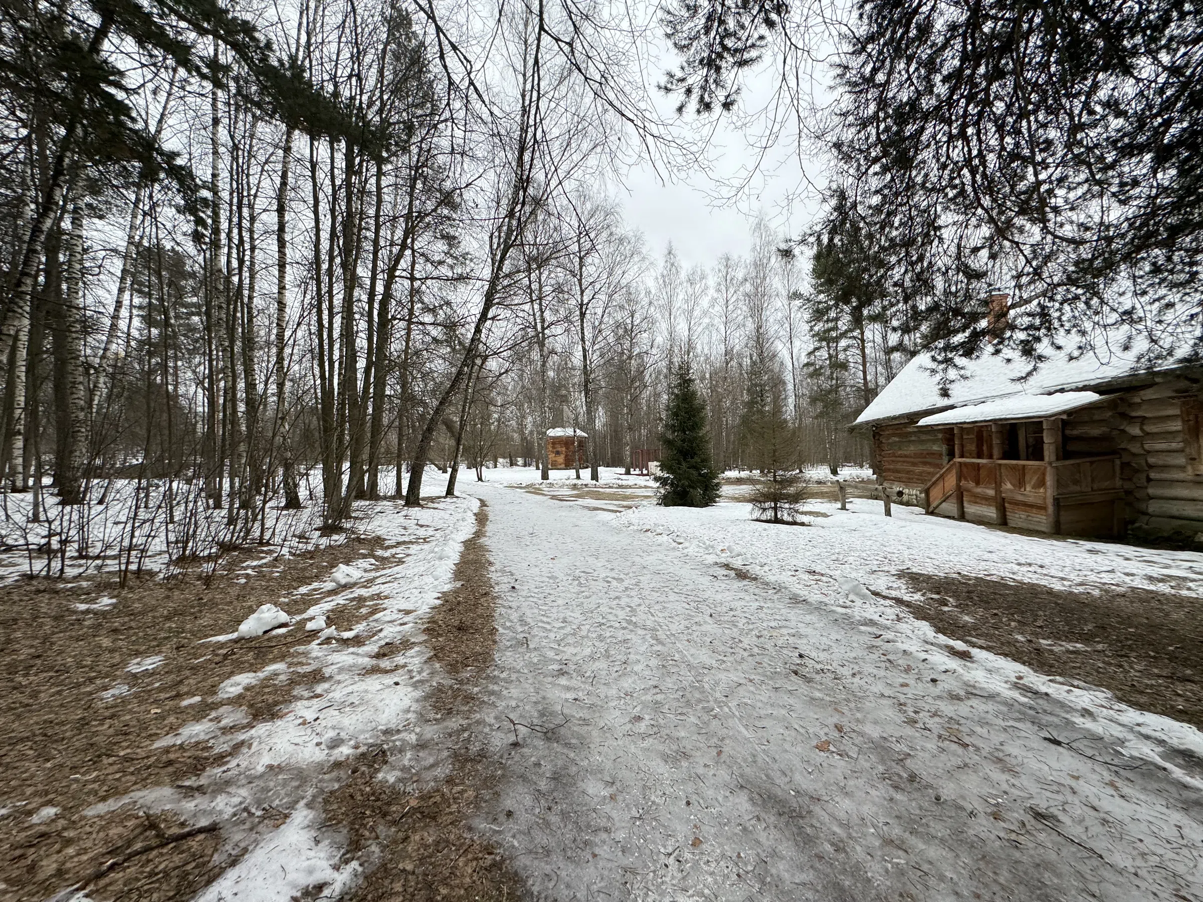 Деревенский дом в лесу, фото 14