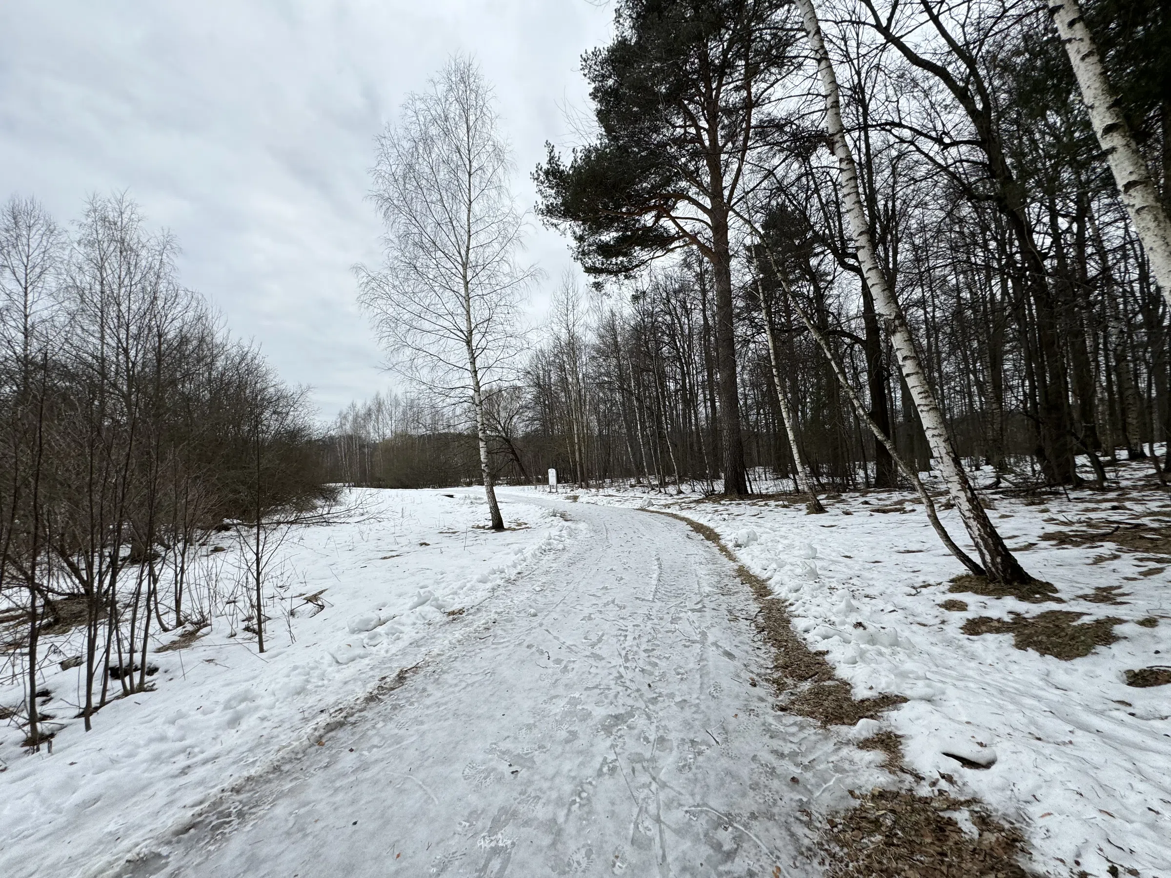 Деревенский дом в лесу, фото 19