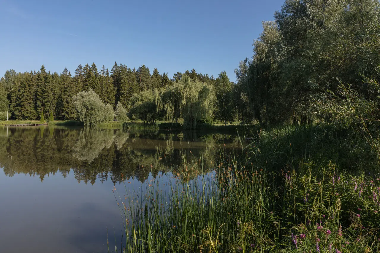 Хай-тек дом с бассейном, фото 20
