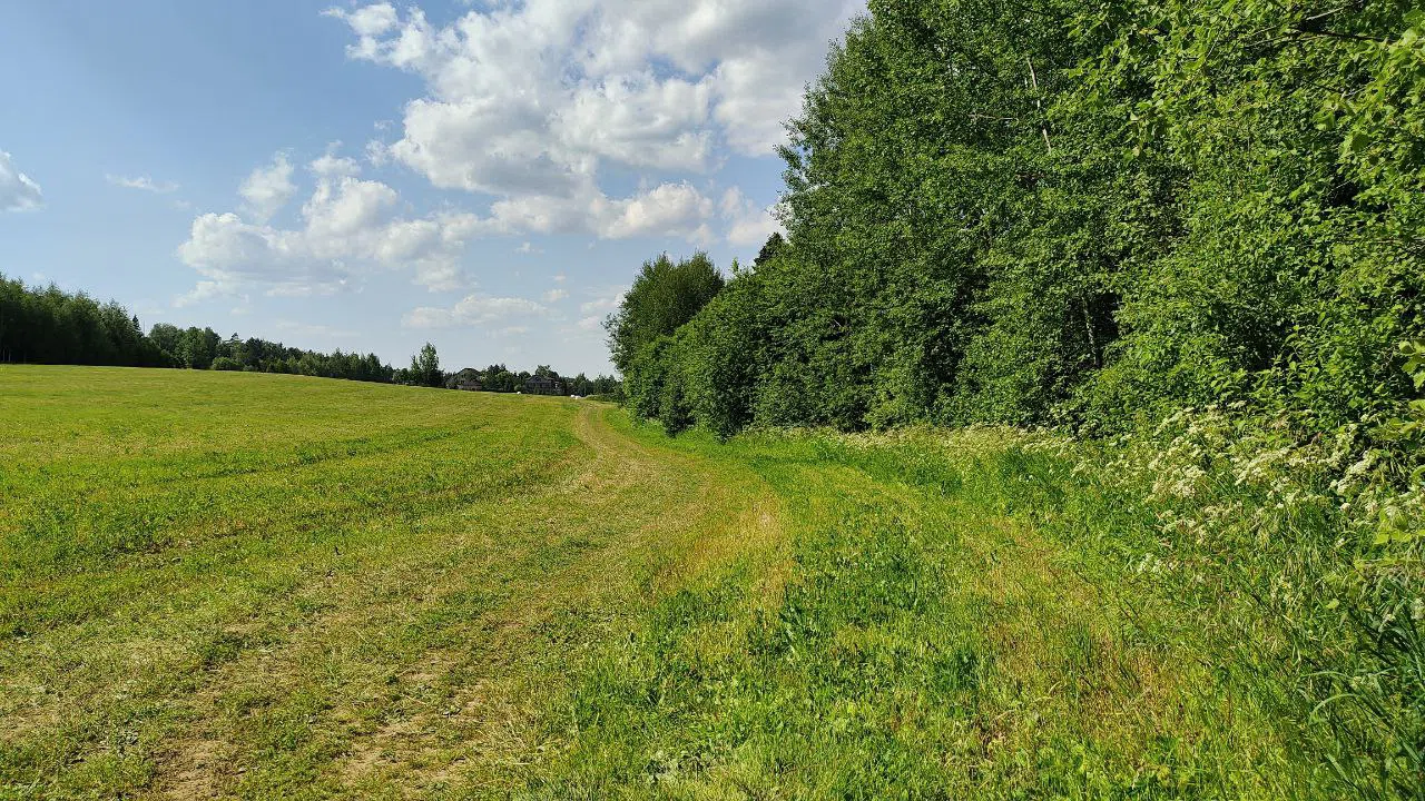 Парк с прудом и полянами, фото 2