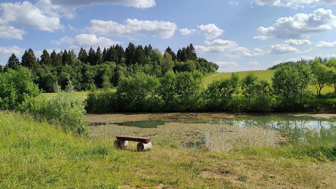 Парк с прудом и полянами, фото 5