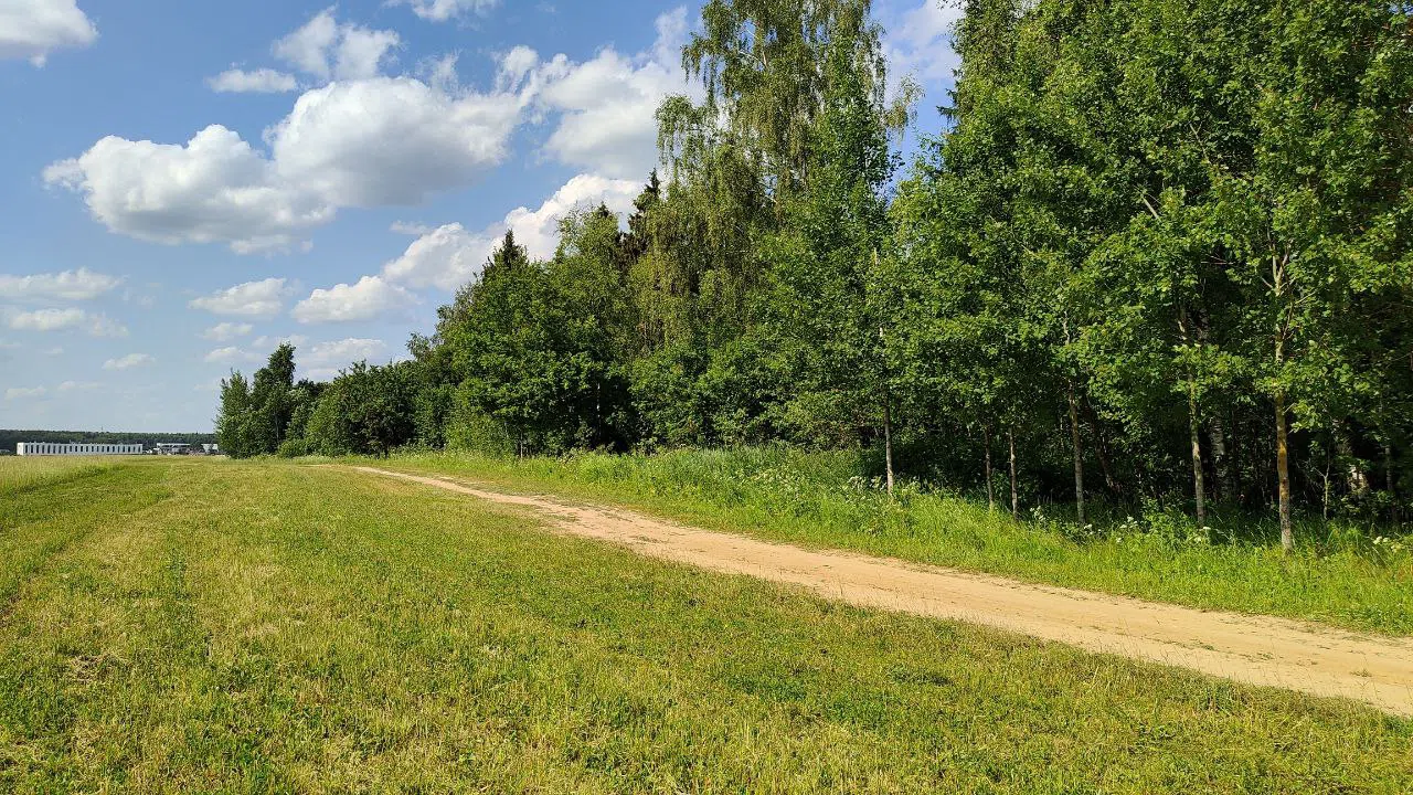 Парк с прудом и полянами, фото 18