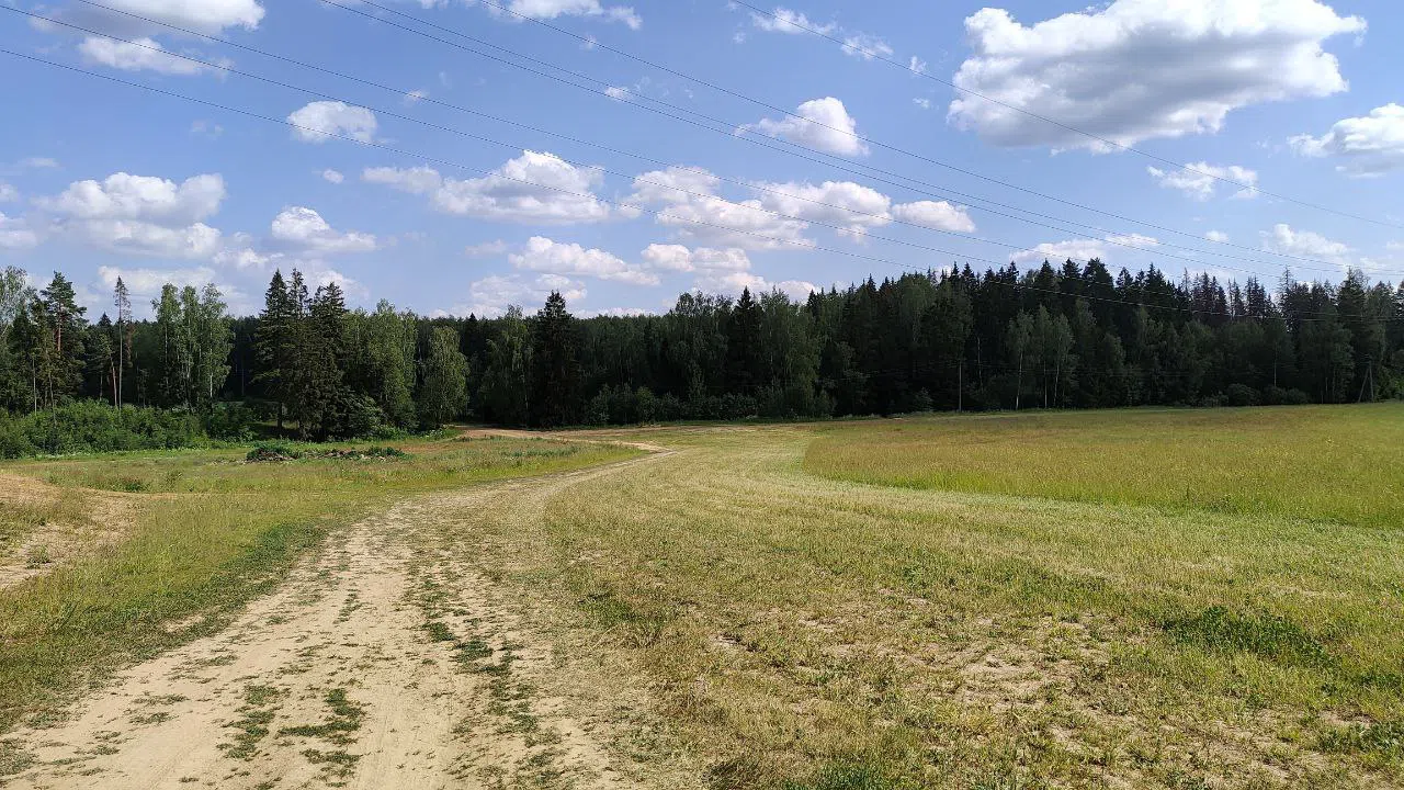 Парк с прудом и полянами, фото 17