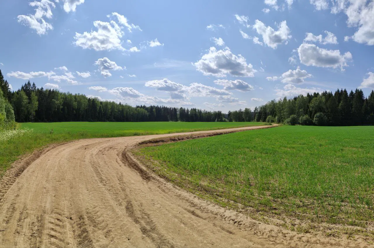 Парк с прудом и полянами, фото 20