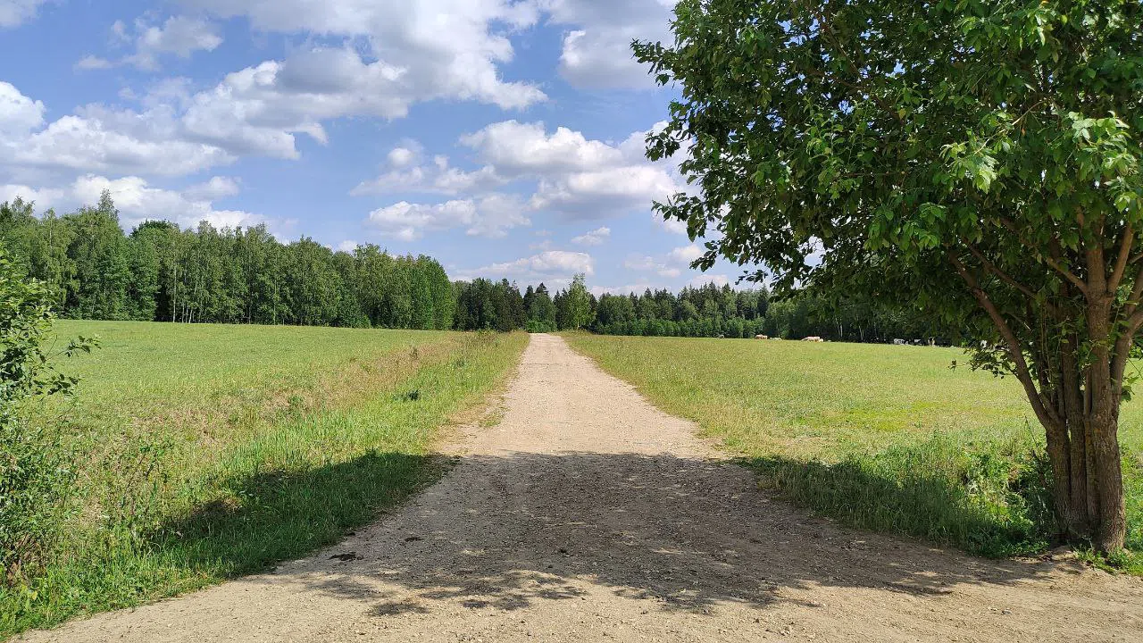 Парк с прудом и полянами, фото 12