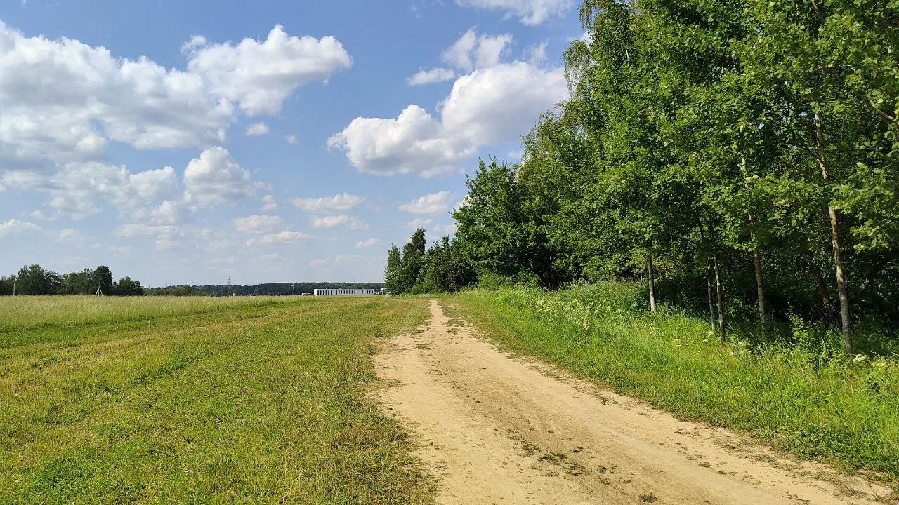 Парк с прудом и полянами, фото 10