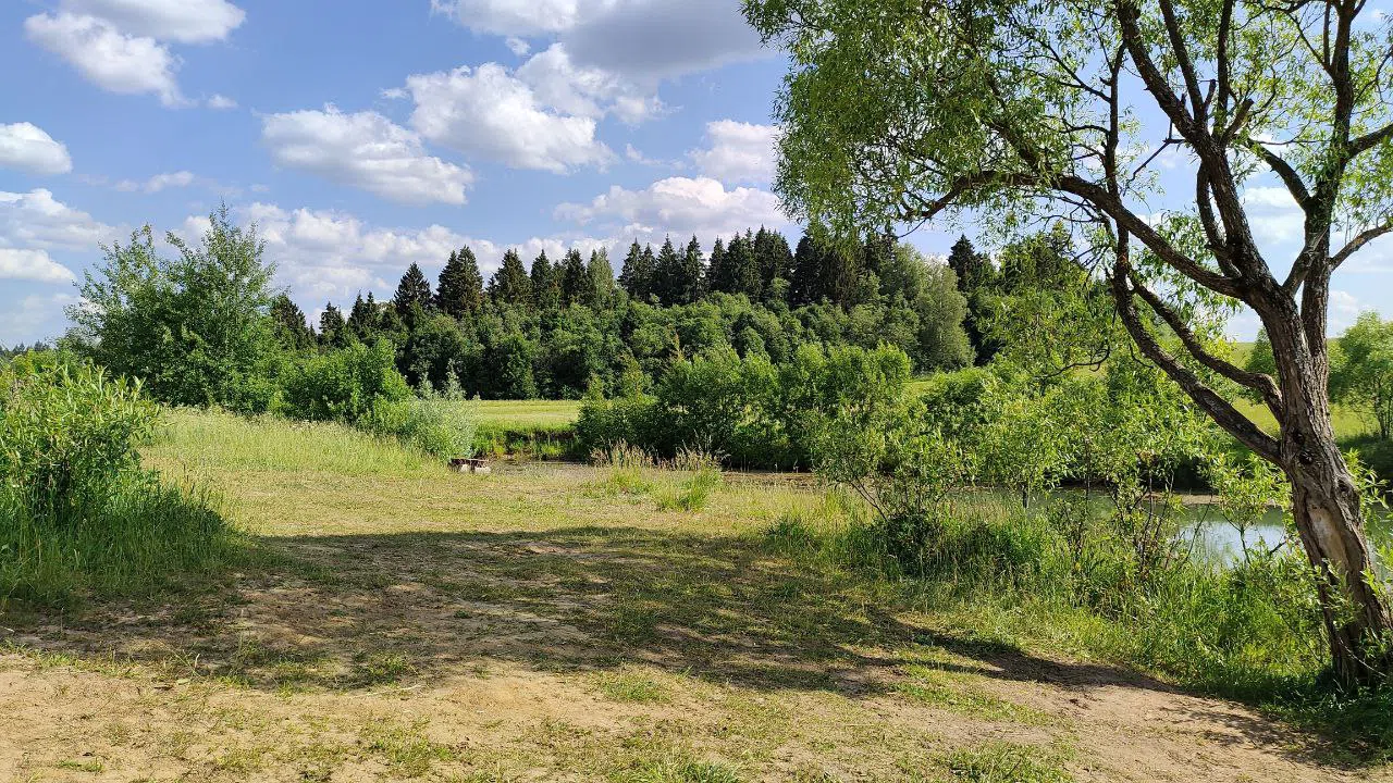 Парк с прудом и полянами, фото 21