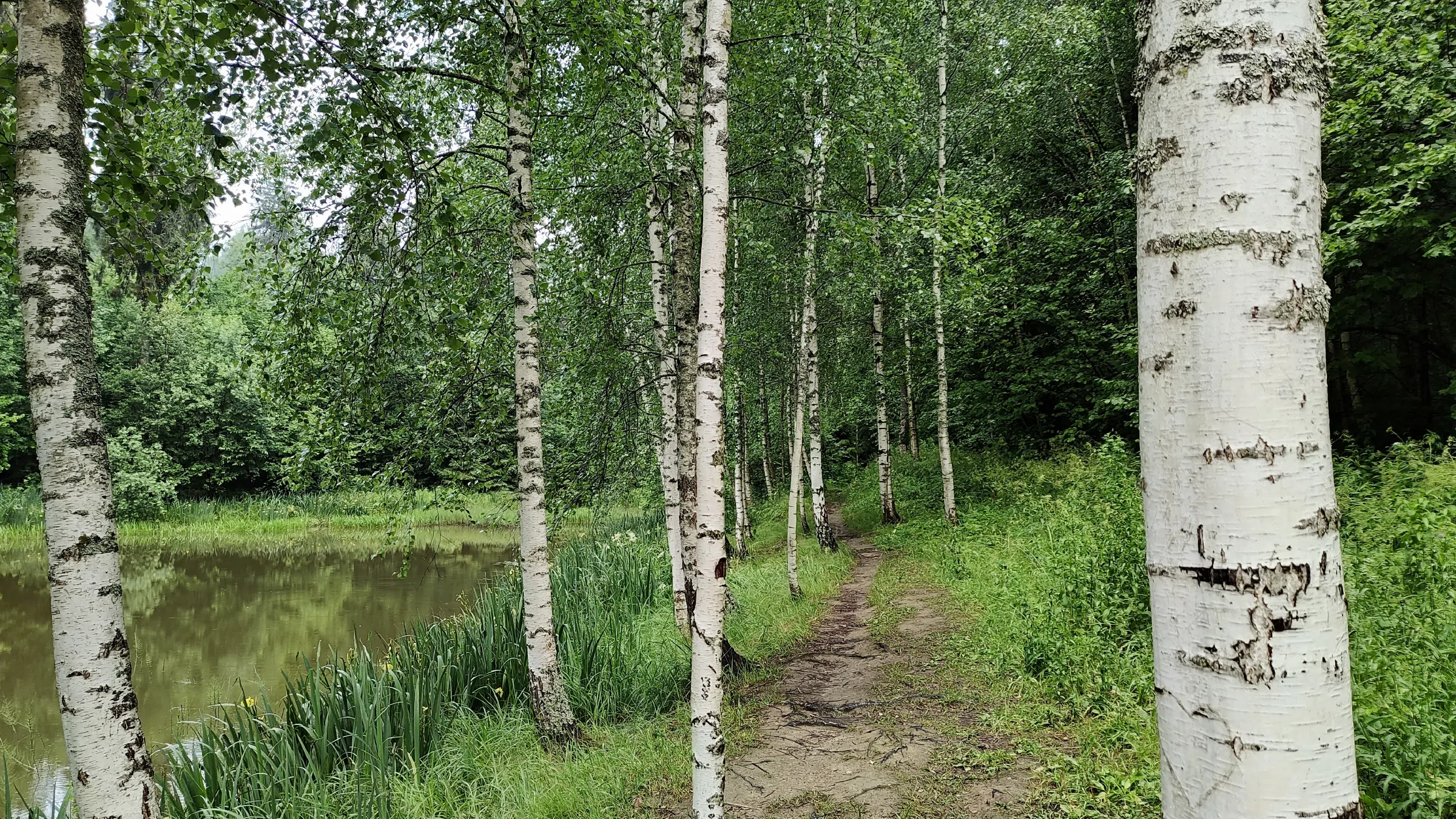 Парк с извилистой дорожкой, фото 18