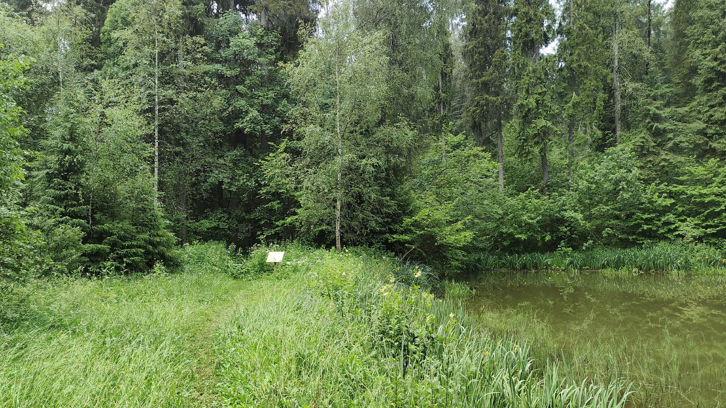 Парк с извилистой дорожкой, фото 17