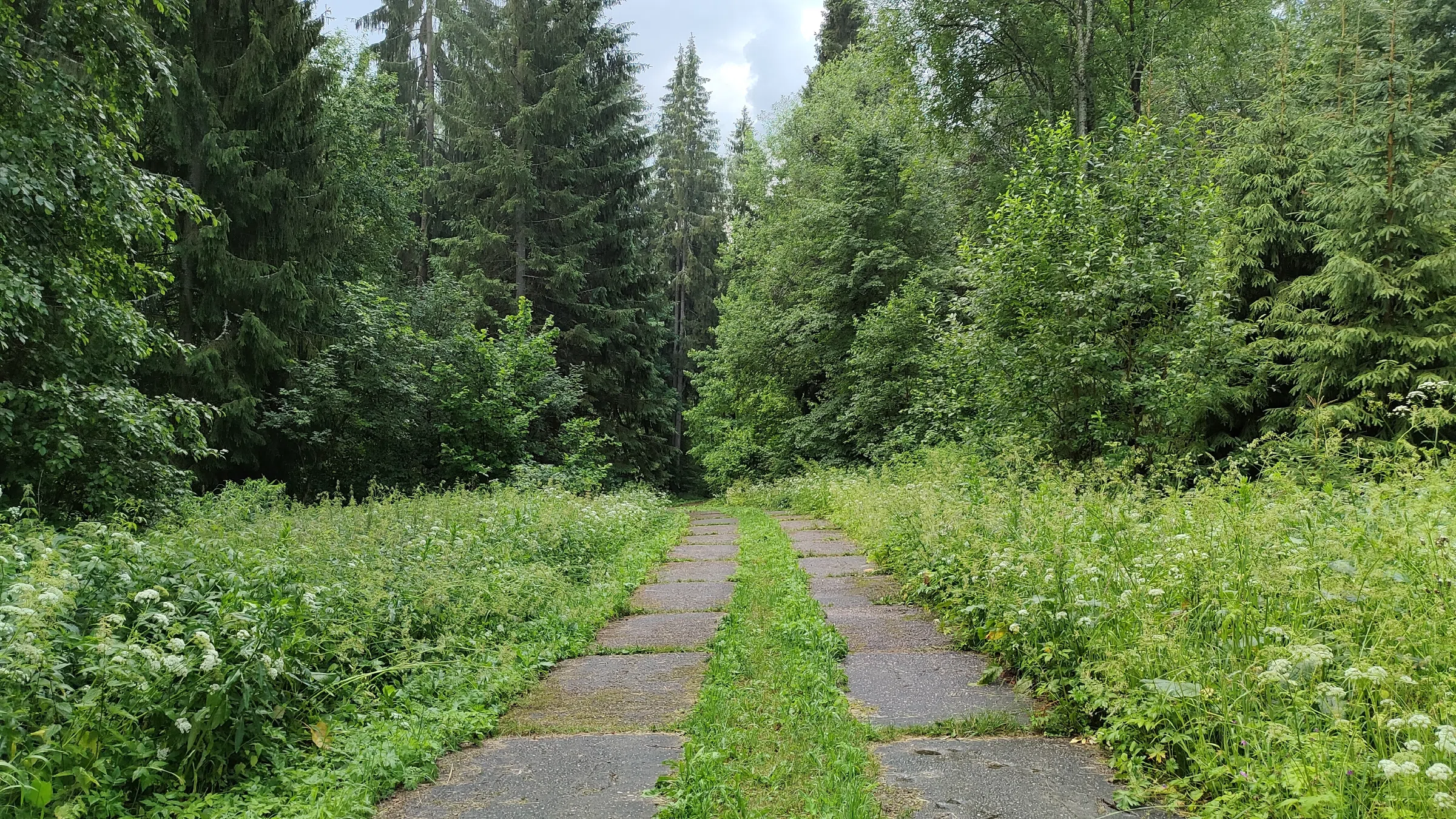 Парк с извилистой дорожкой, фото 8