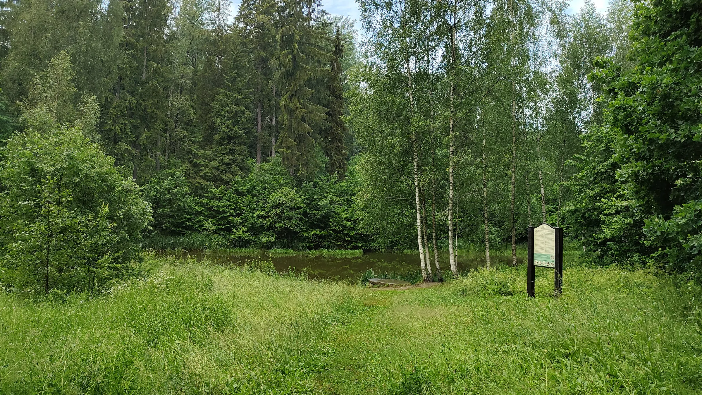 Парк с извилистой дорожкой, фото 15