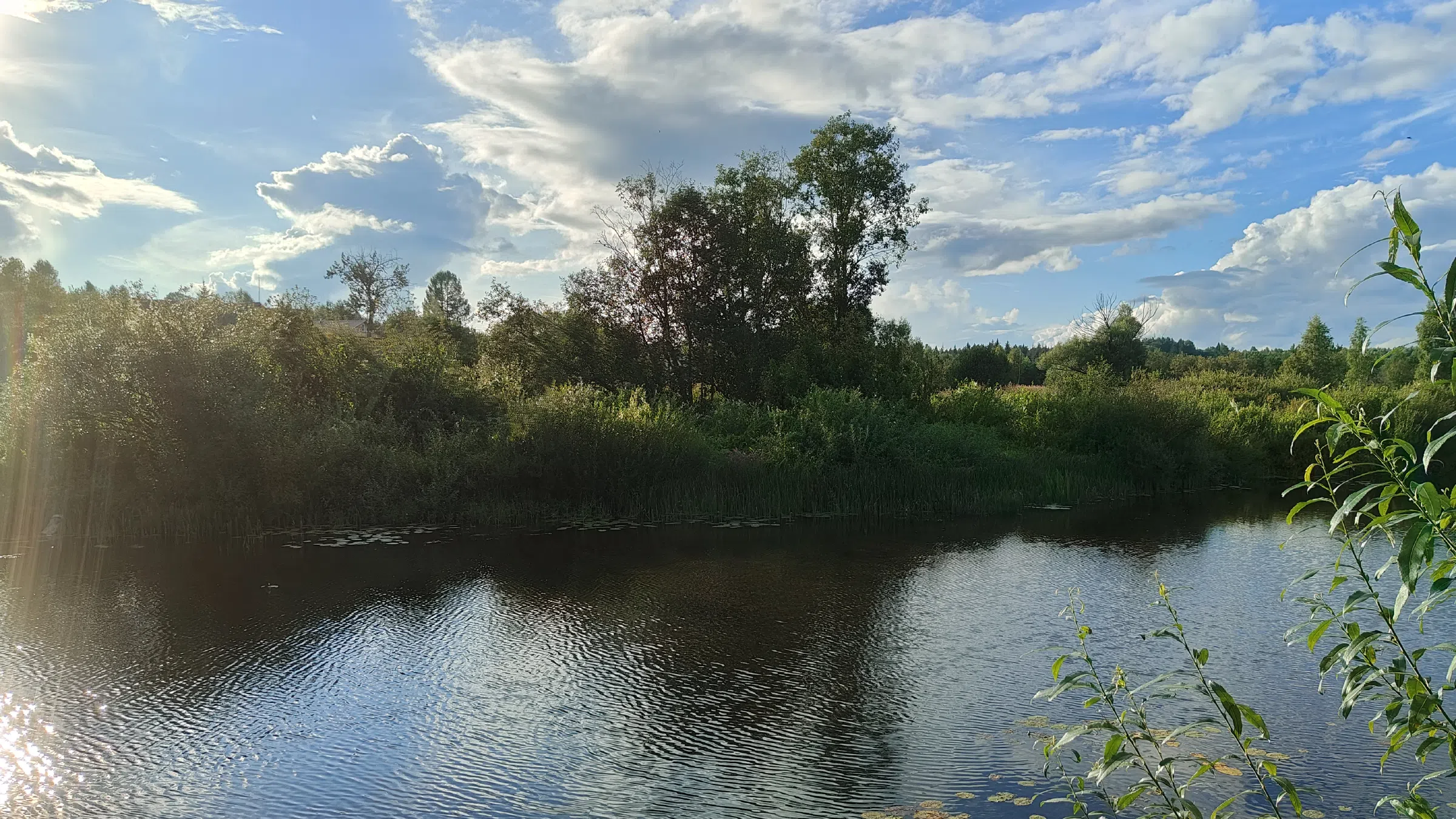 Зелёная резная дача, фото 7