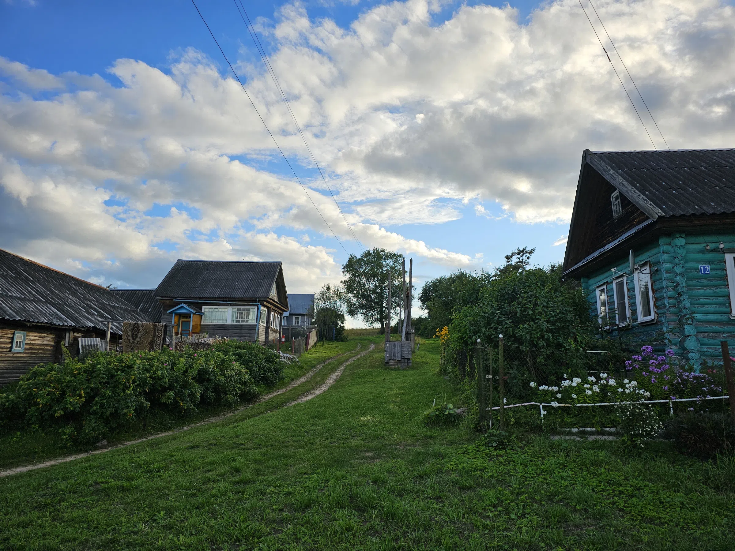 Зелёная резная дача, фото 3