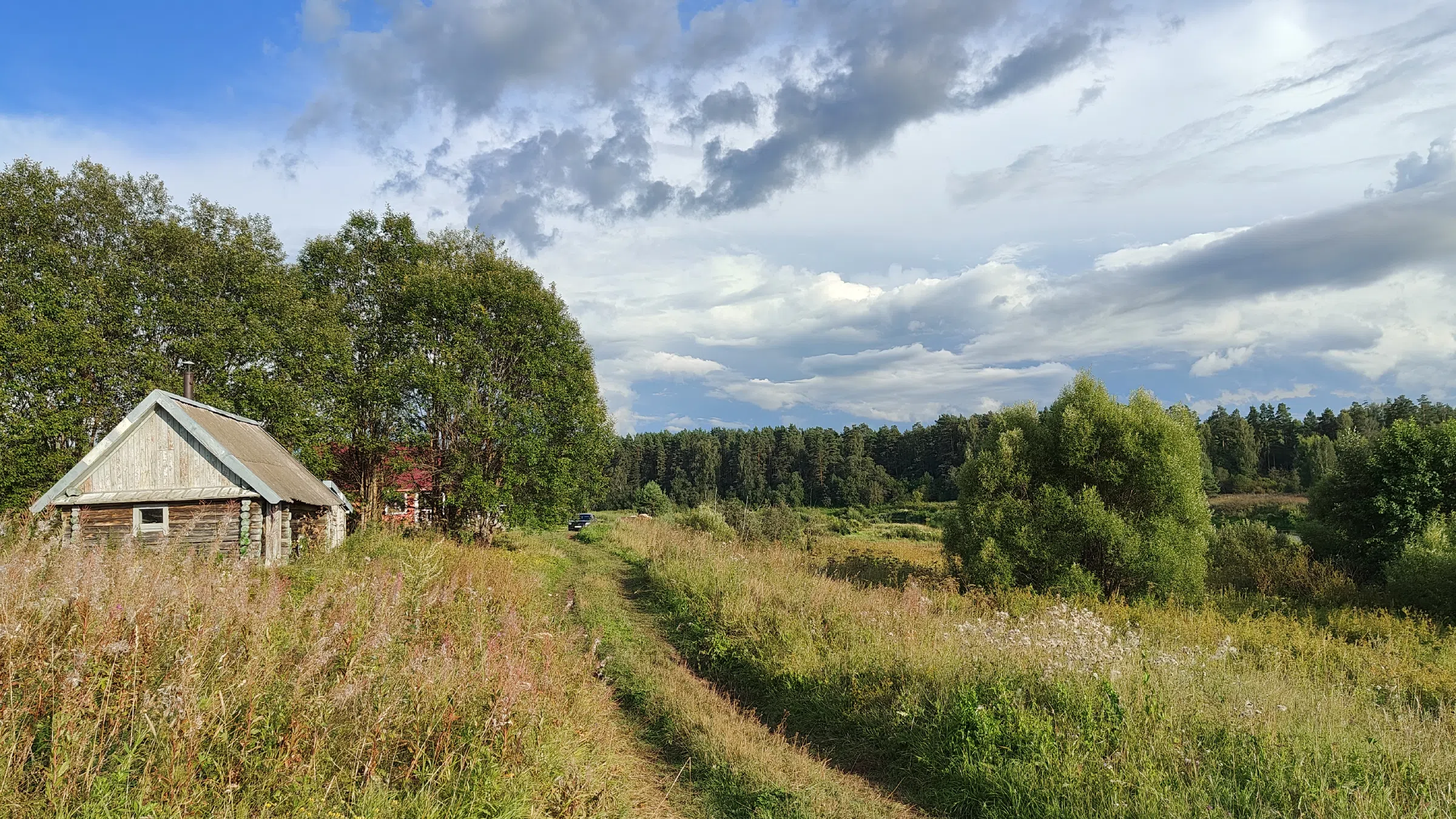 Резная бирюзовая дача, фото 10