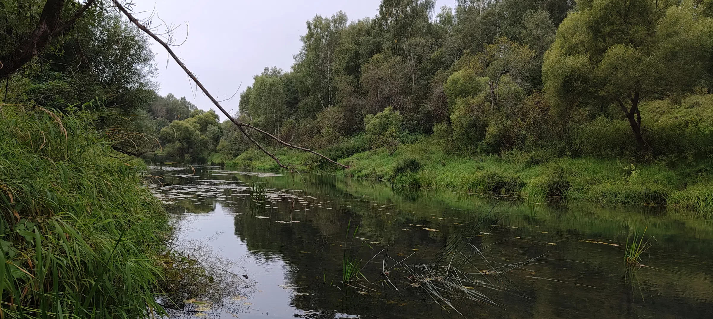 Ряд цветных дач, фото 9
