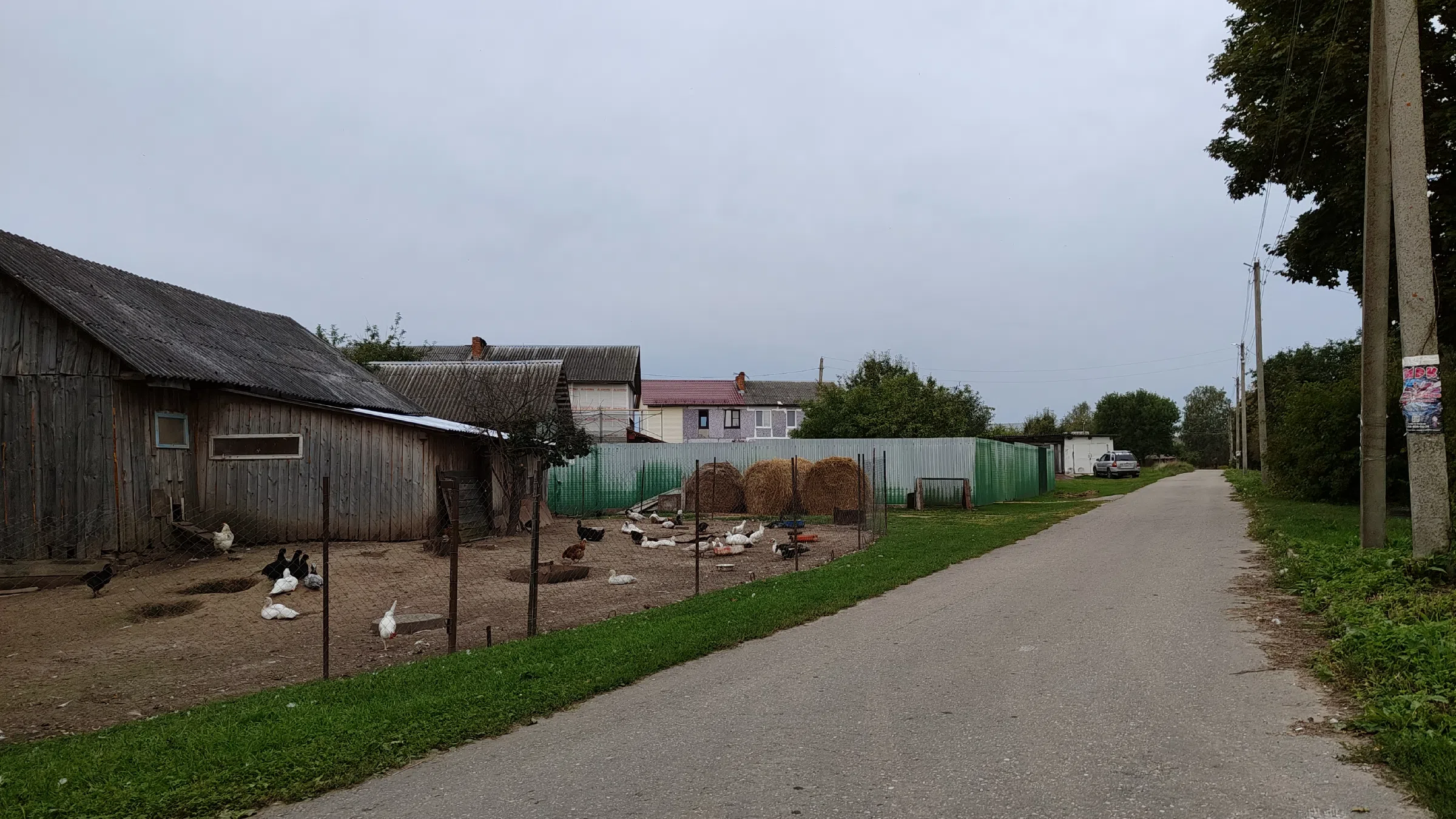 Ряд цветных дач, фото 14