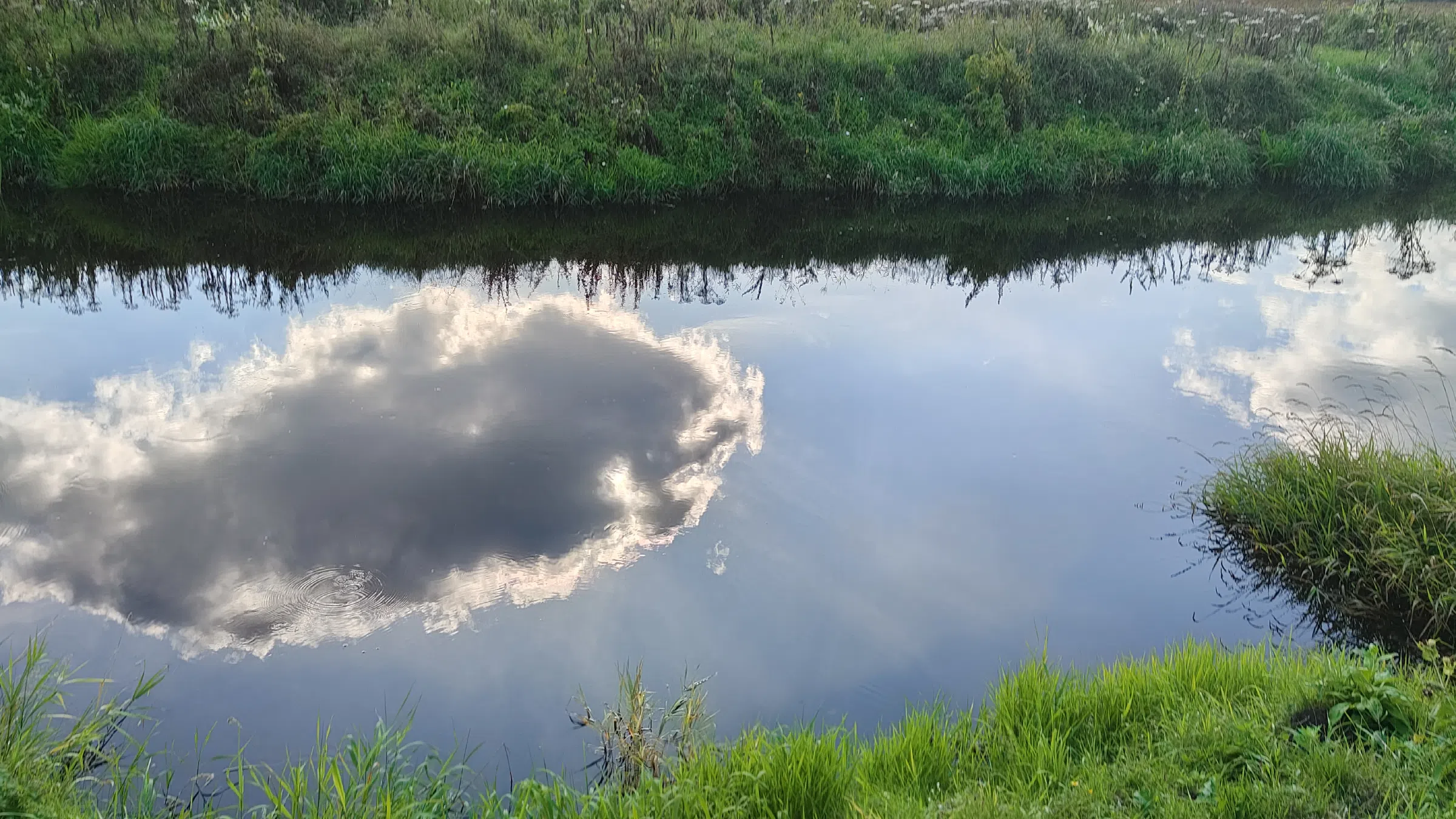 Дача под Дубом, фото 2