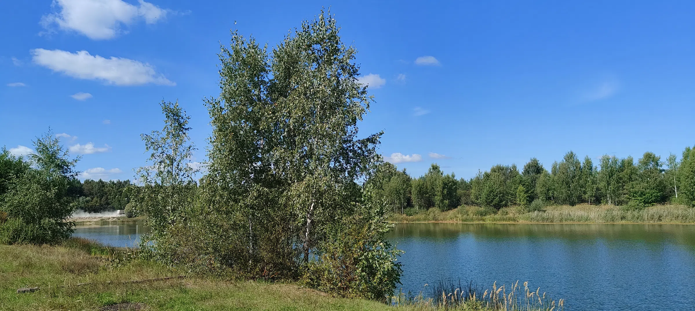 Дом у Лесного озера, фото 4
