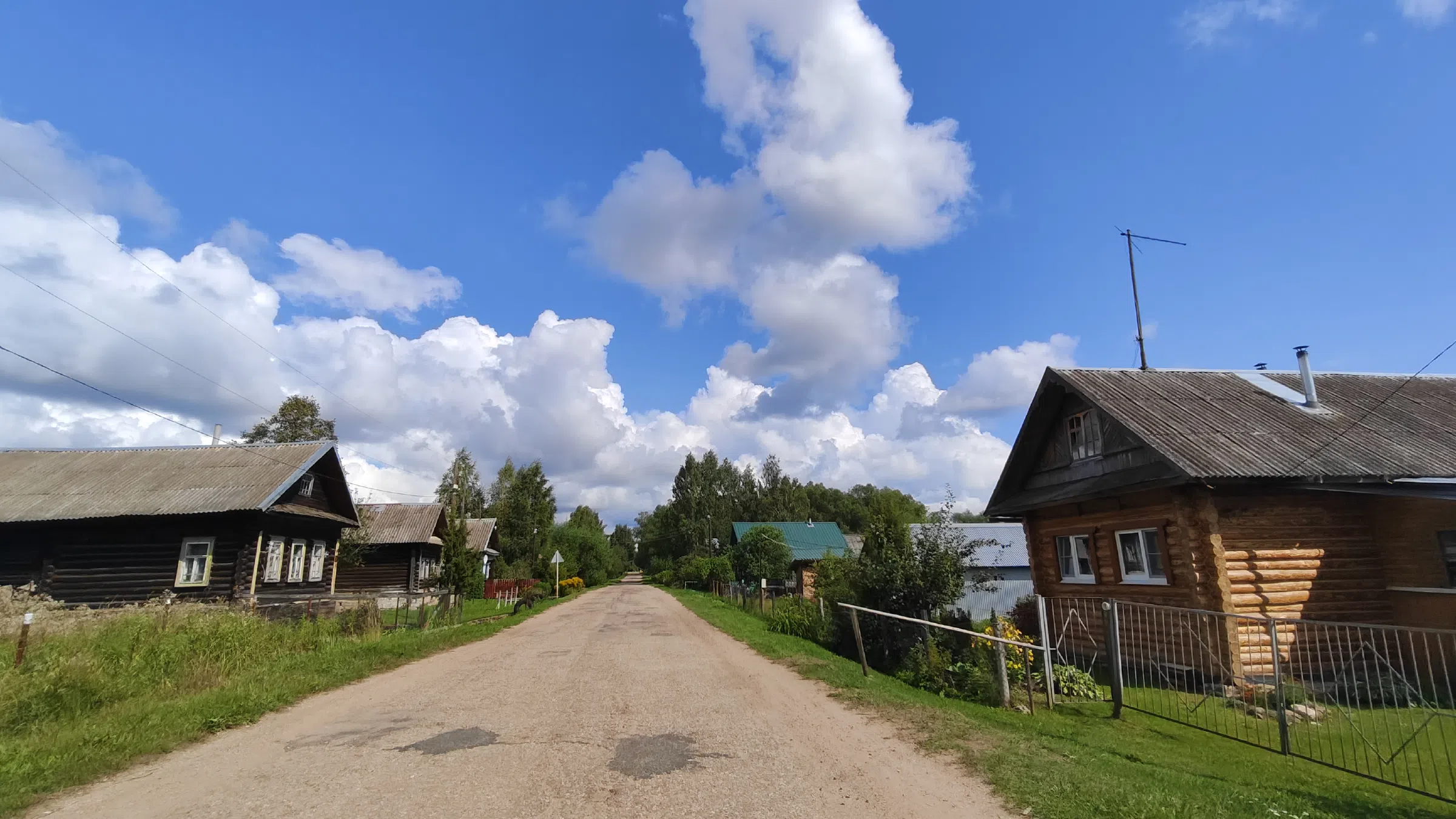 Деревенский магазин у леса, фото 9