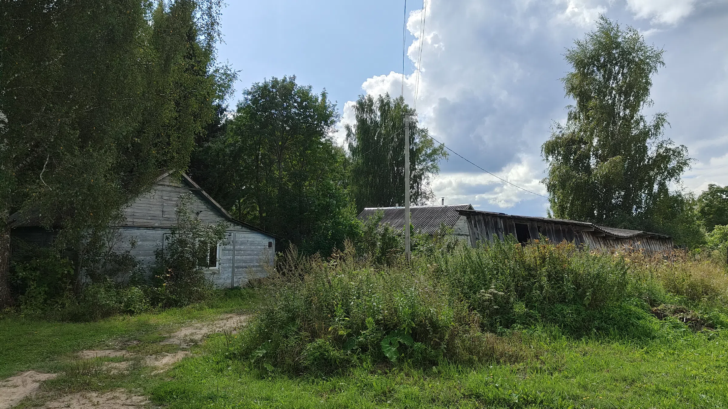 Деревенский магазин у леса, фото 21