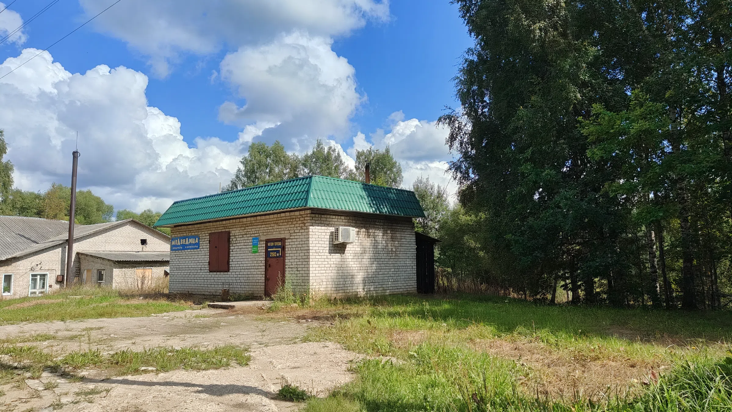Деревенский магазин у леса, фото 4