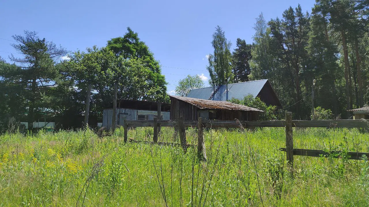 Дача с зелёной крышей, фото 22